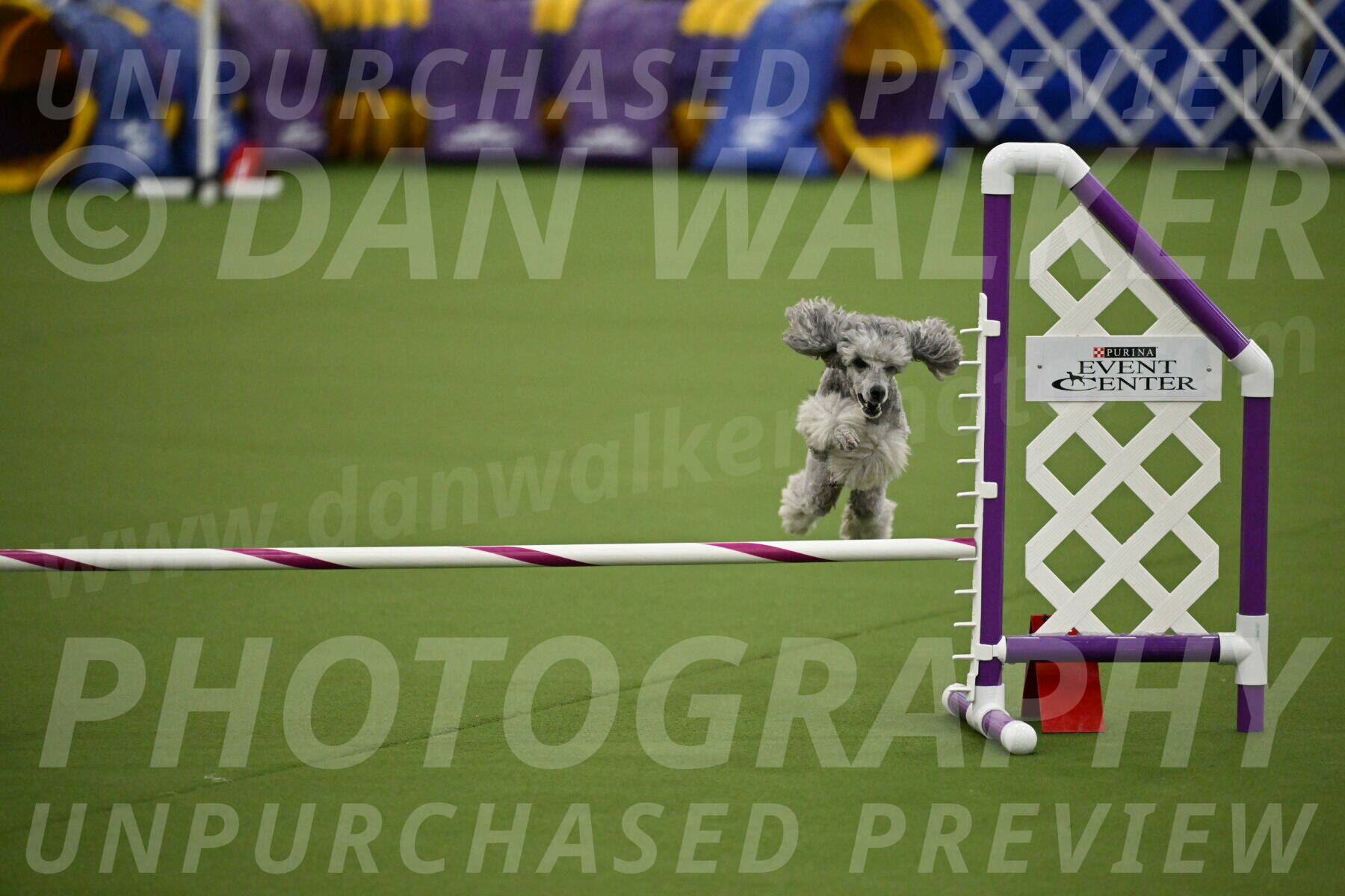 MAS-EX-JWW-12-Inch_1179