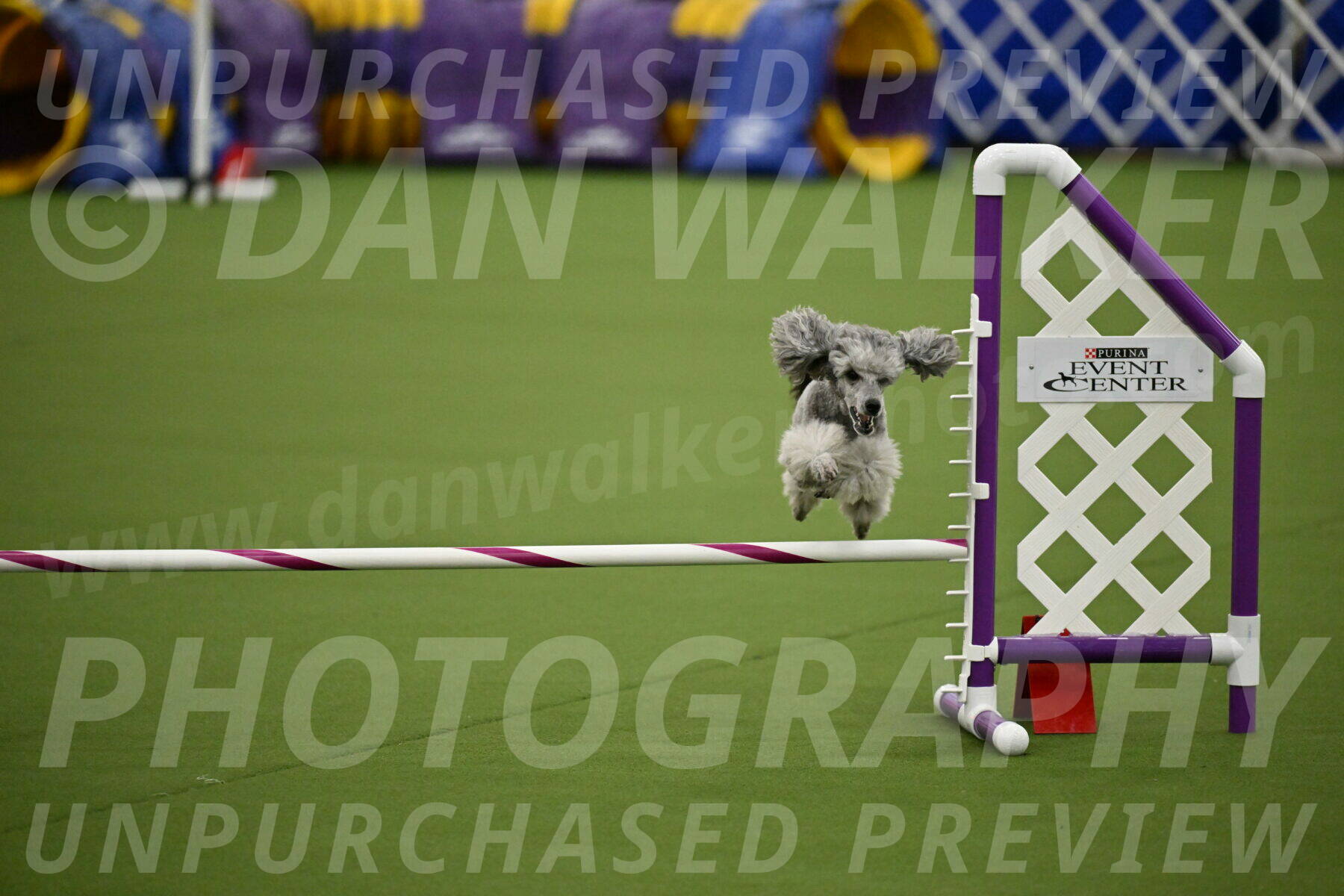 MAS-EX-JWW-12-Inch_1180