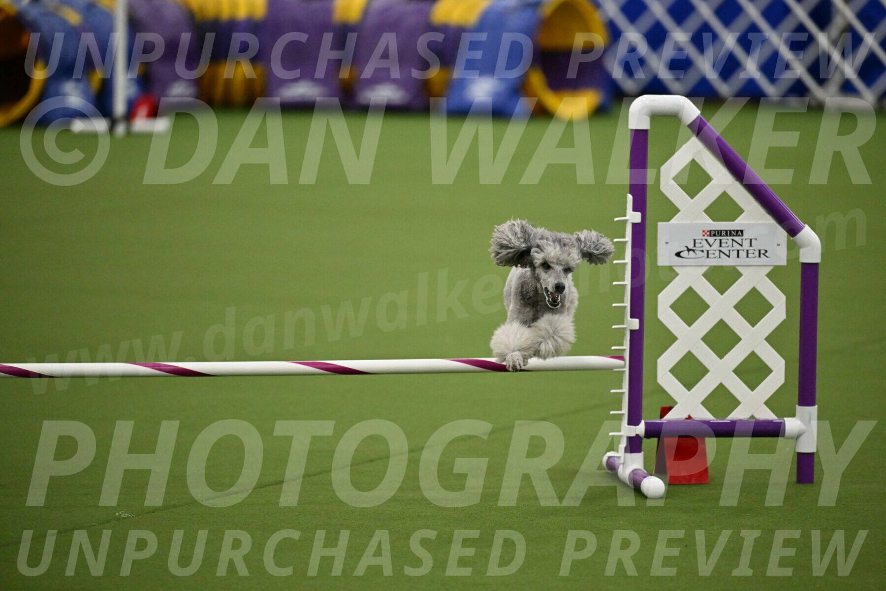 MAS-EX-JWW-12-Inch_1181