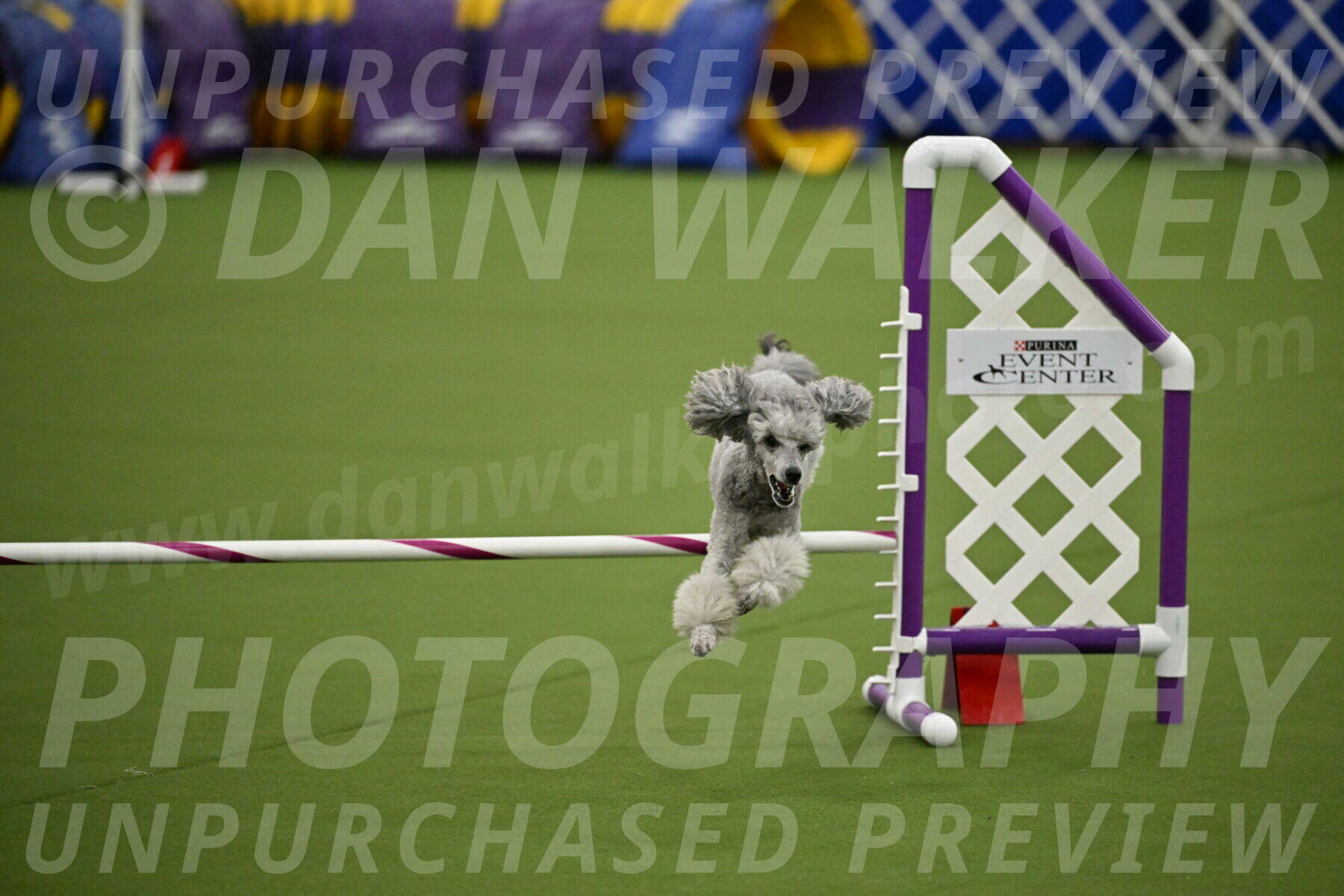 MAS-EX-JWW-12-Inch_1182