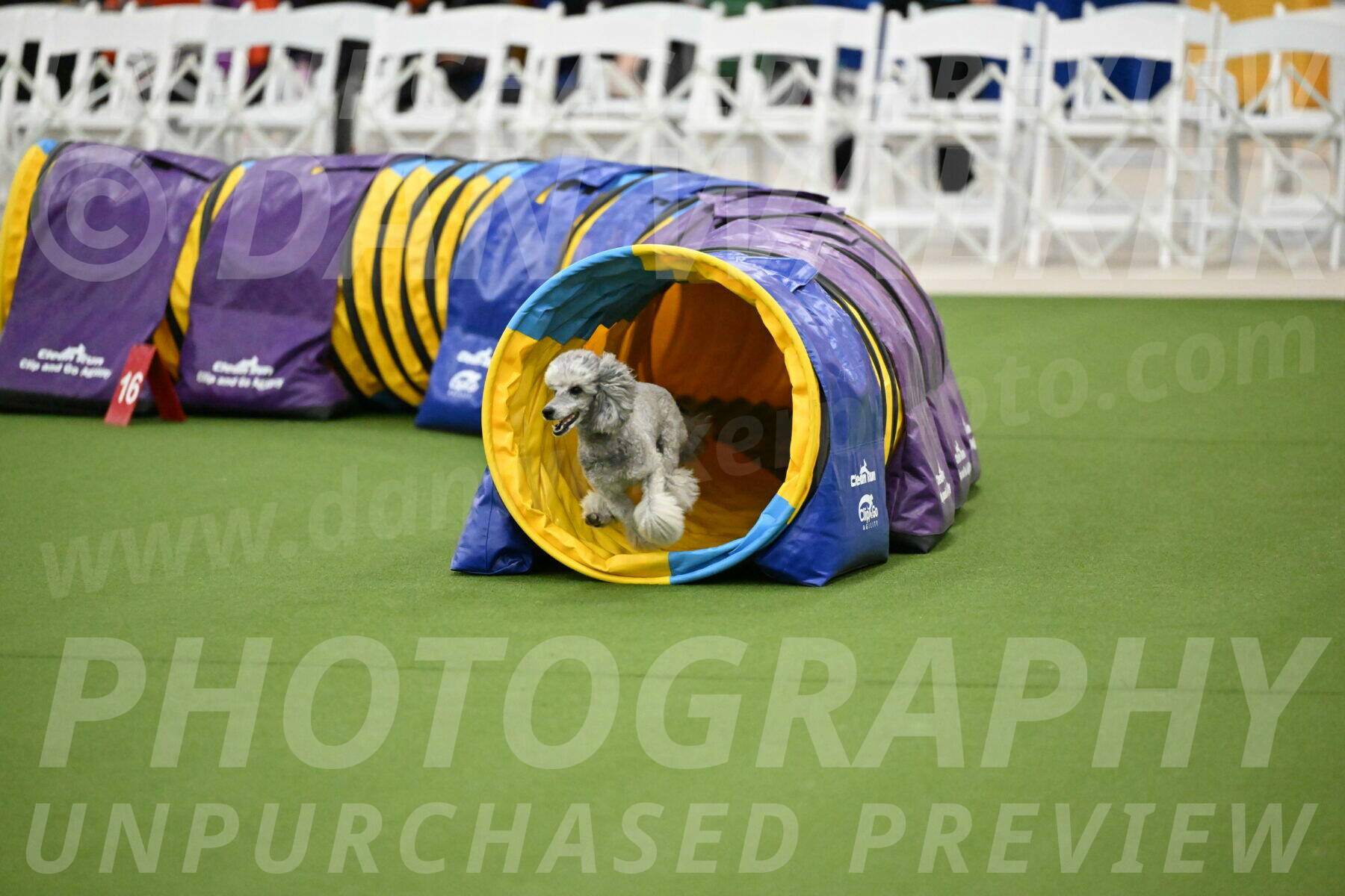 MAS-EX-JWW-12-Inch_1192