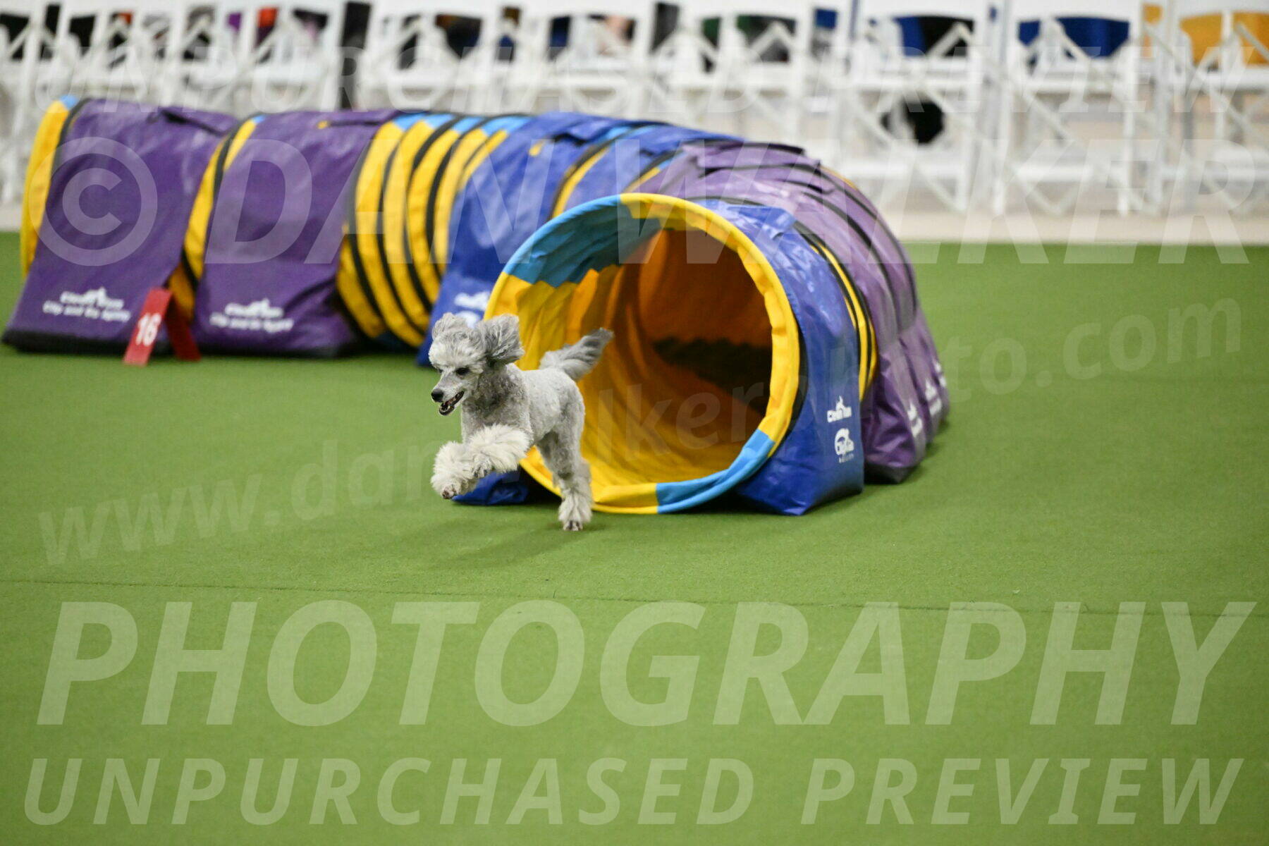 MAS-EX-JWW-12-Inch_1194