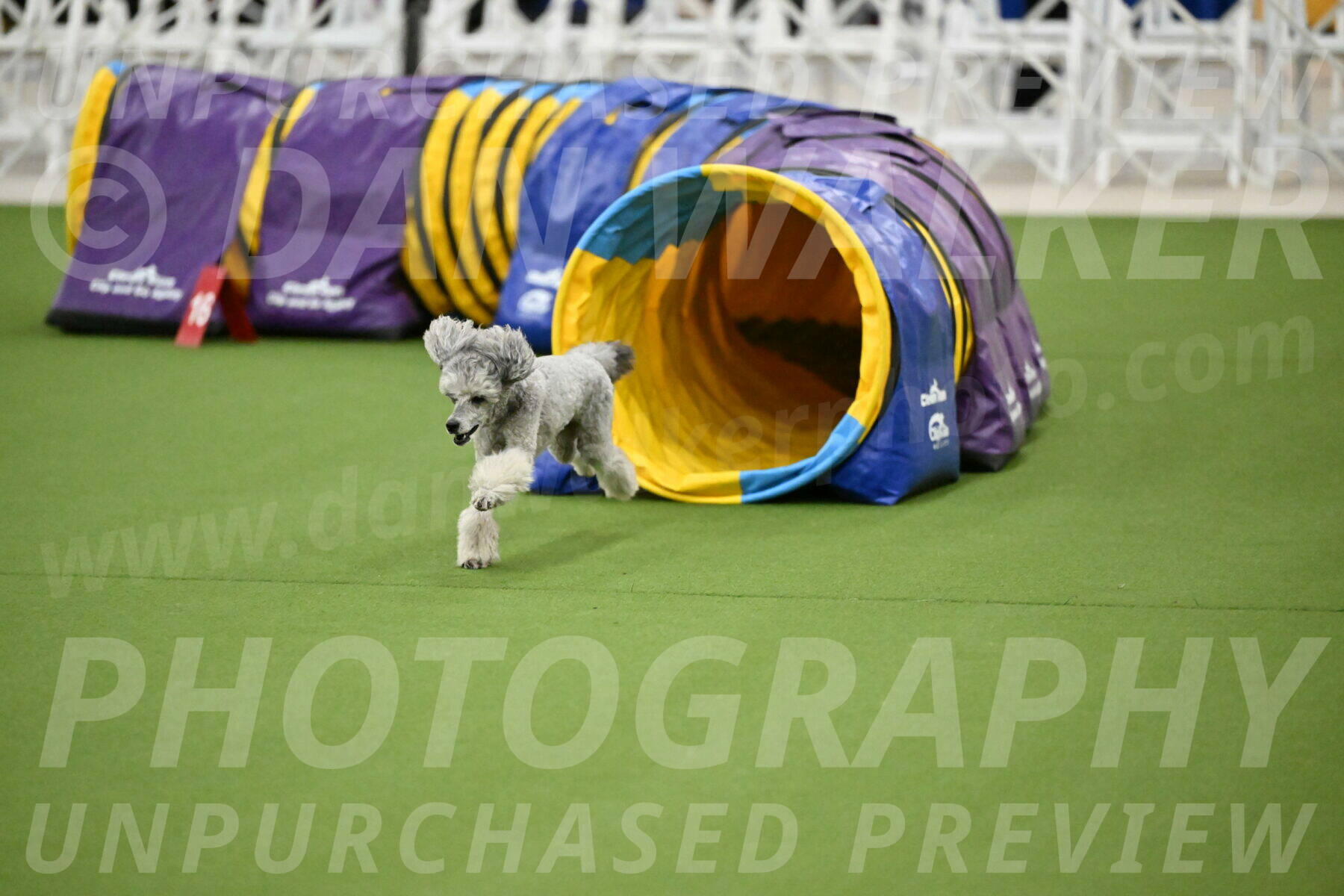 MAS-EX-JWW-12-Inch_1195