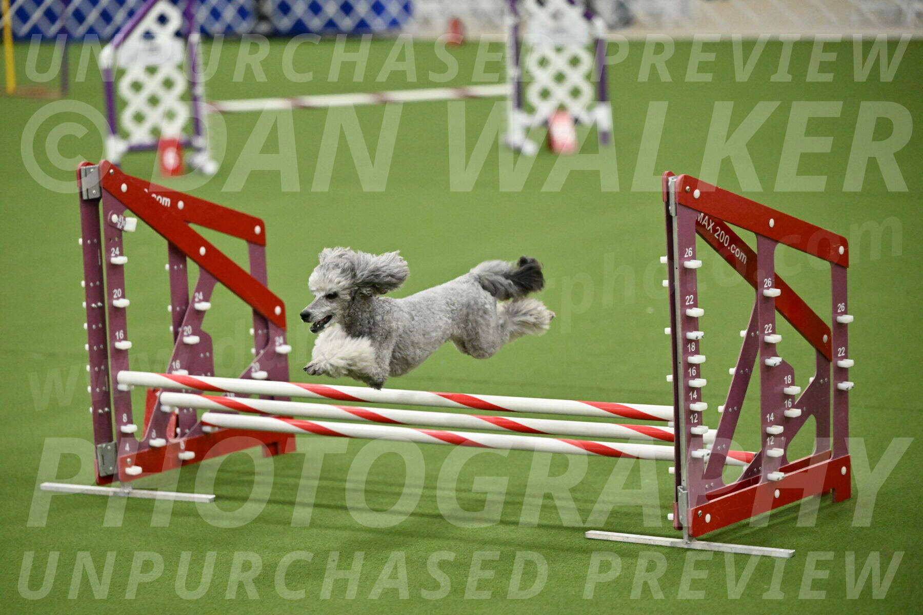 MAS-EX-JWW-12-Inch_1208