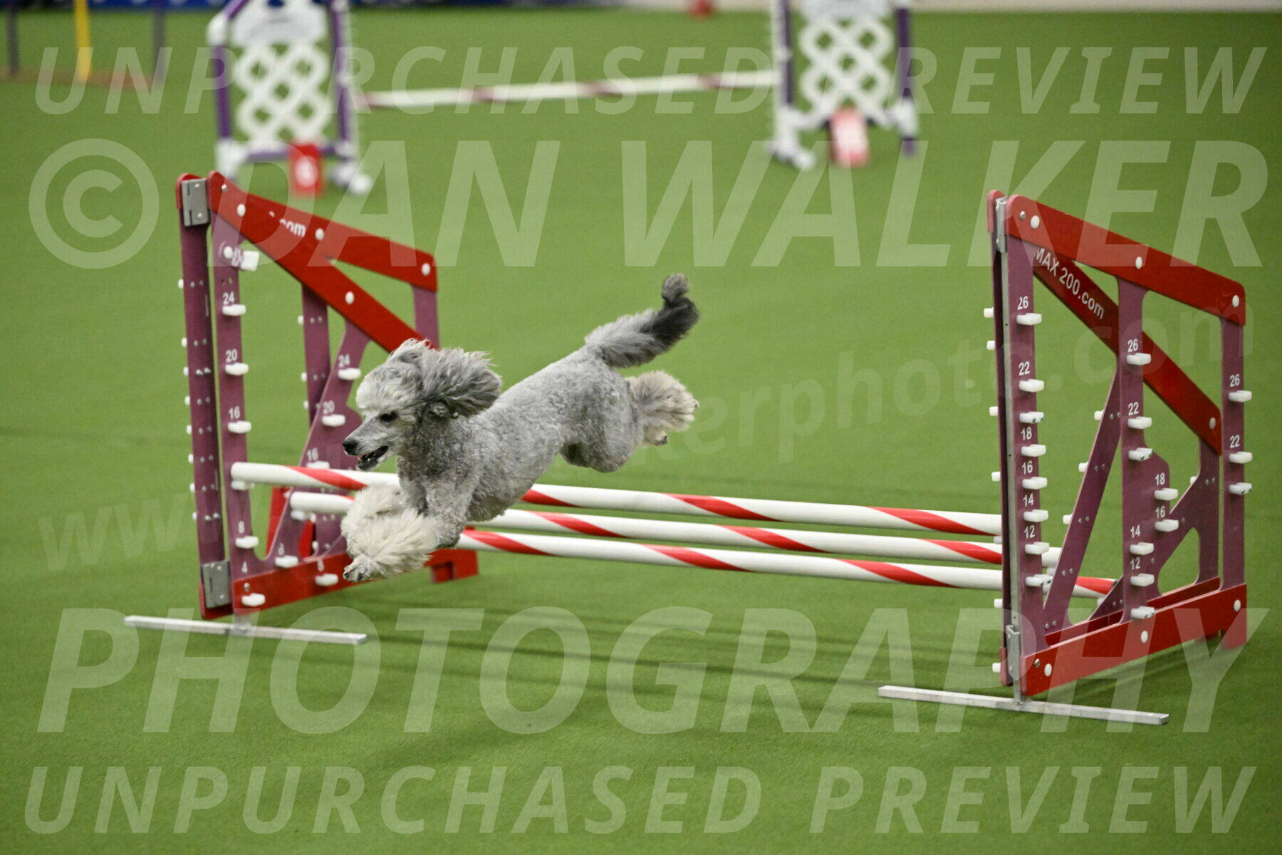 MAS-EX-JWW-12-Inch_1209