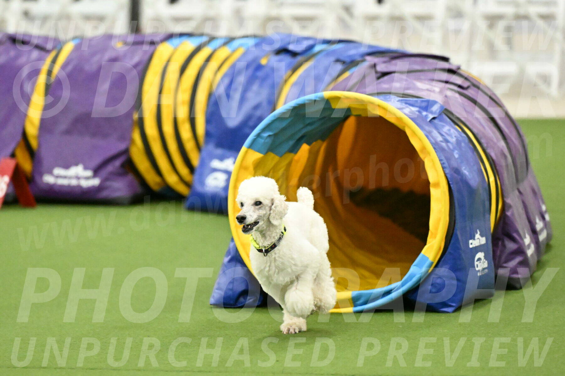 MAS-EX-JWW-12-Inch_1973