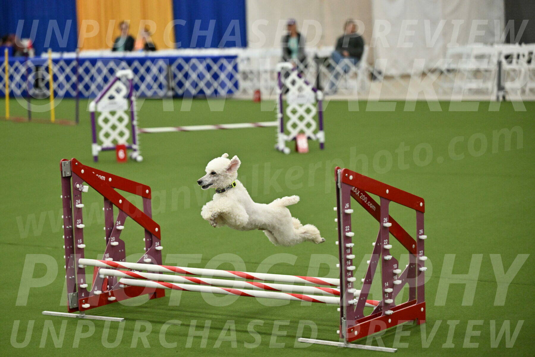 MAS-EX-JWW-12-Inch_1981