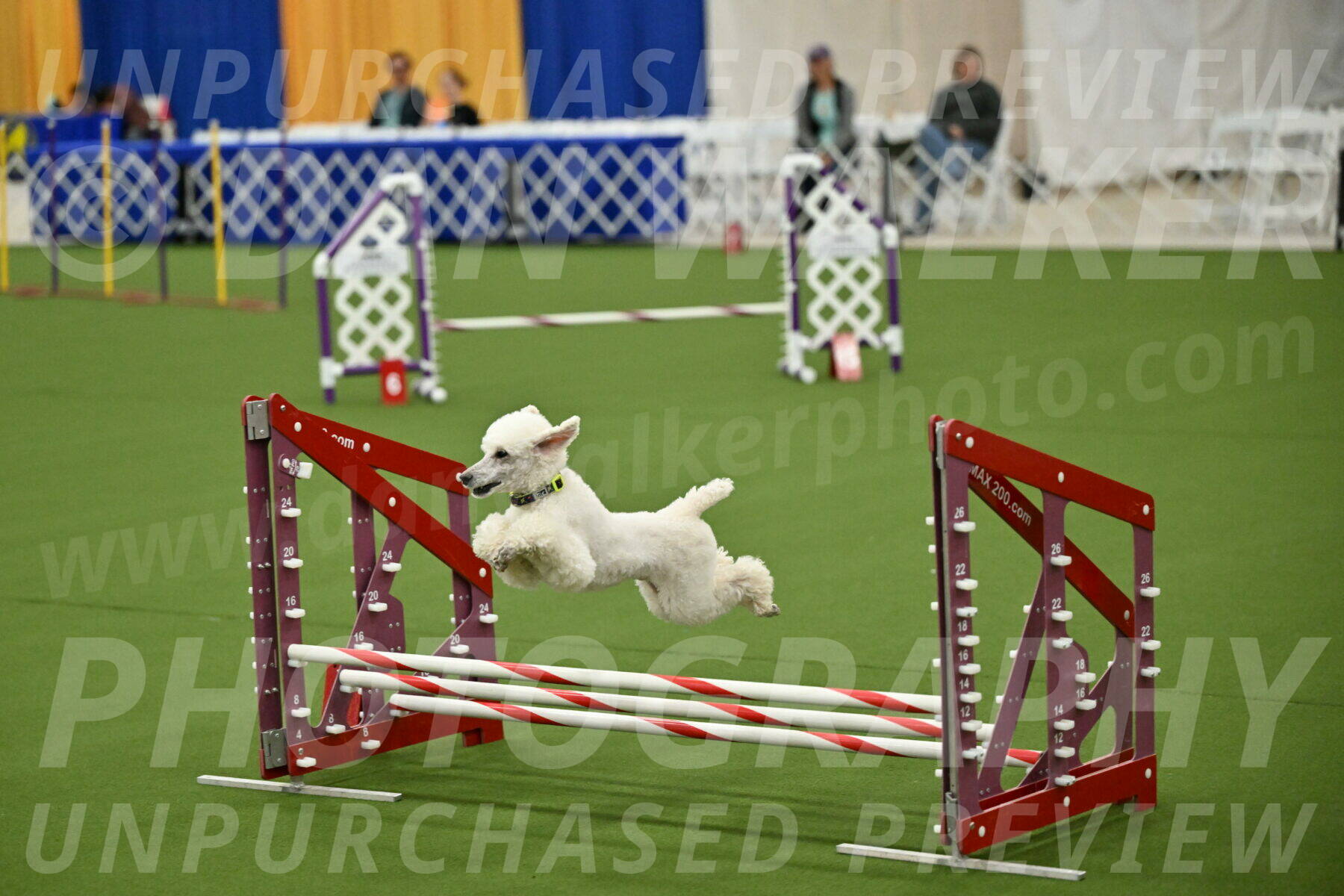 MAS-EX-JWW-12-Inch_1982