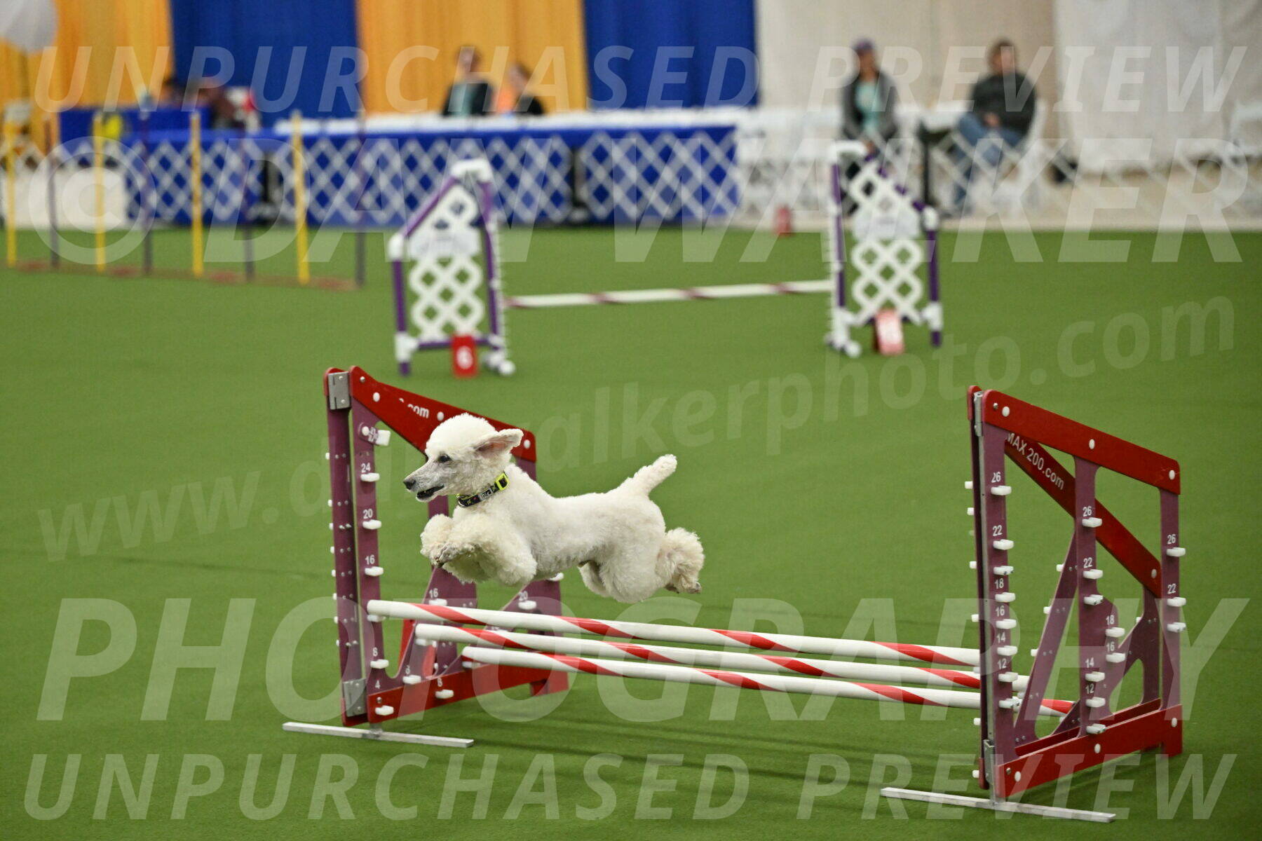 MAS-EX-JWW-12-Inch_1983