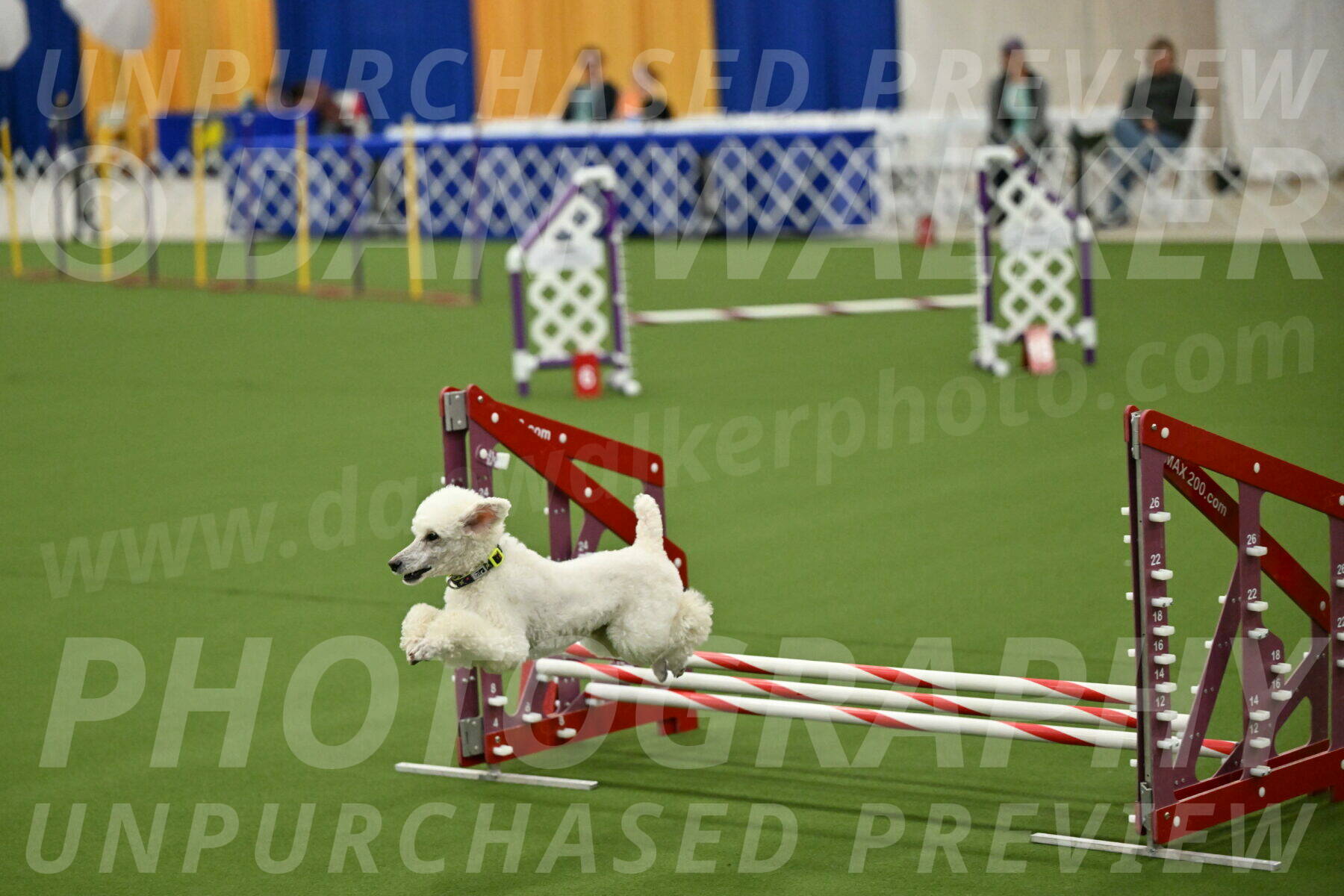 MAS-EX-JWW-12-Inch_1984