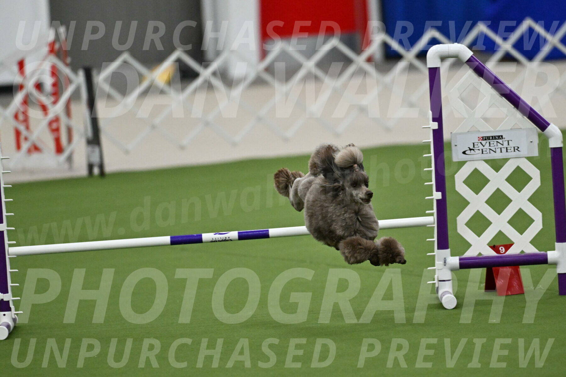 MAS-EX-JWW-12-Inch_1997