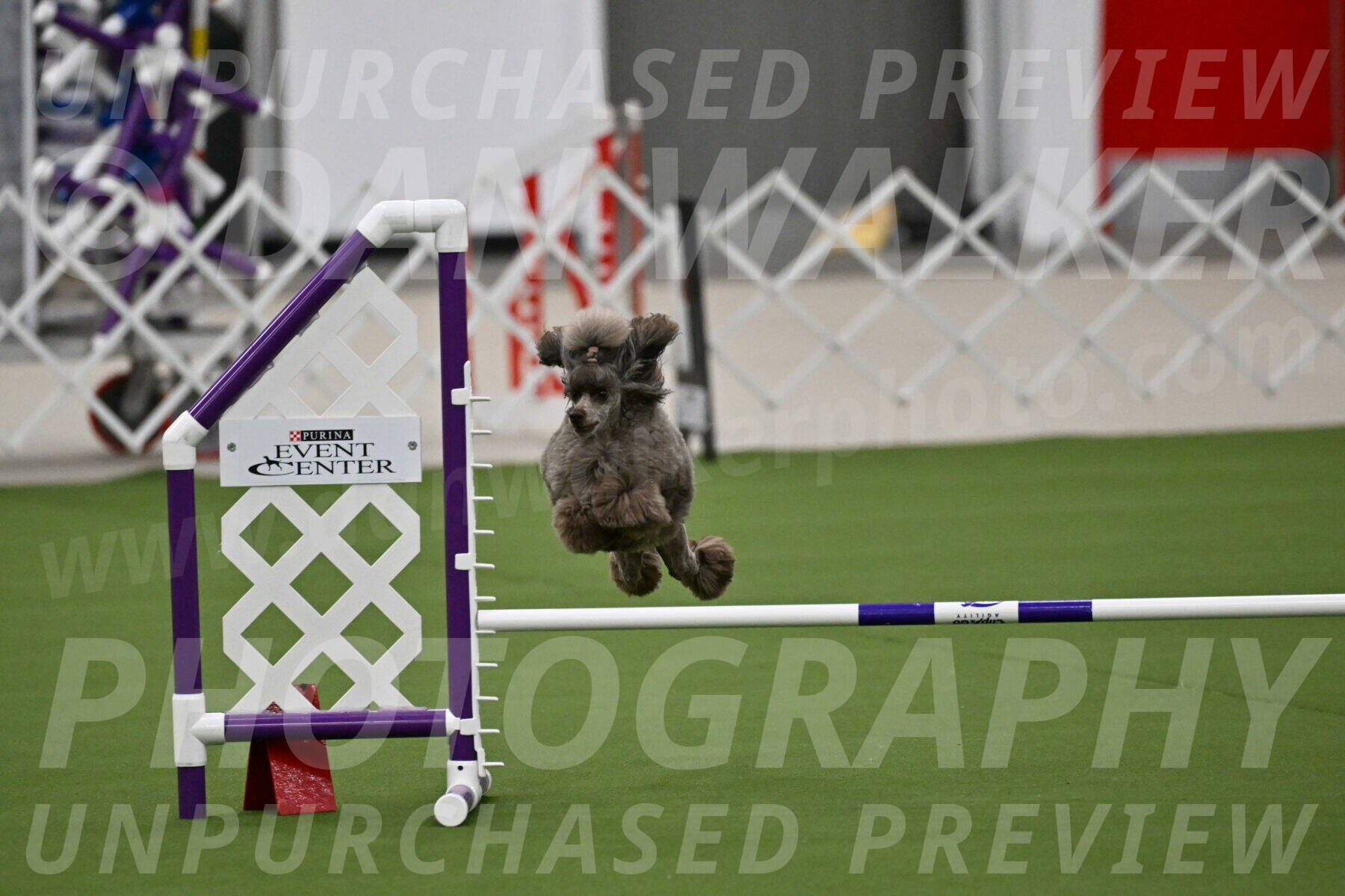 MAS-EX-JWW-12-Inch_2012