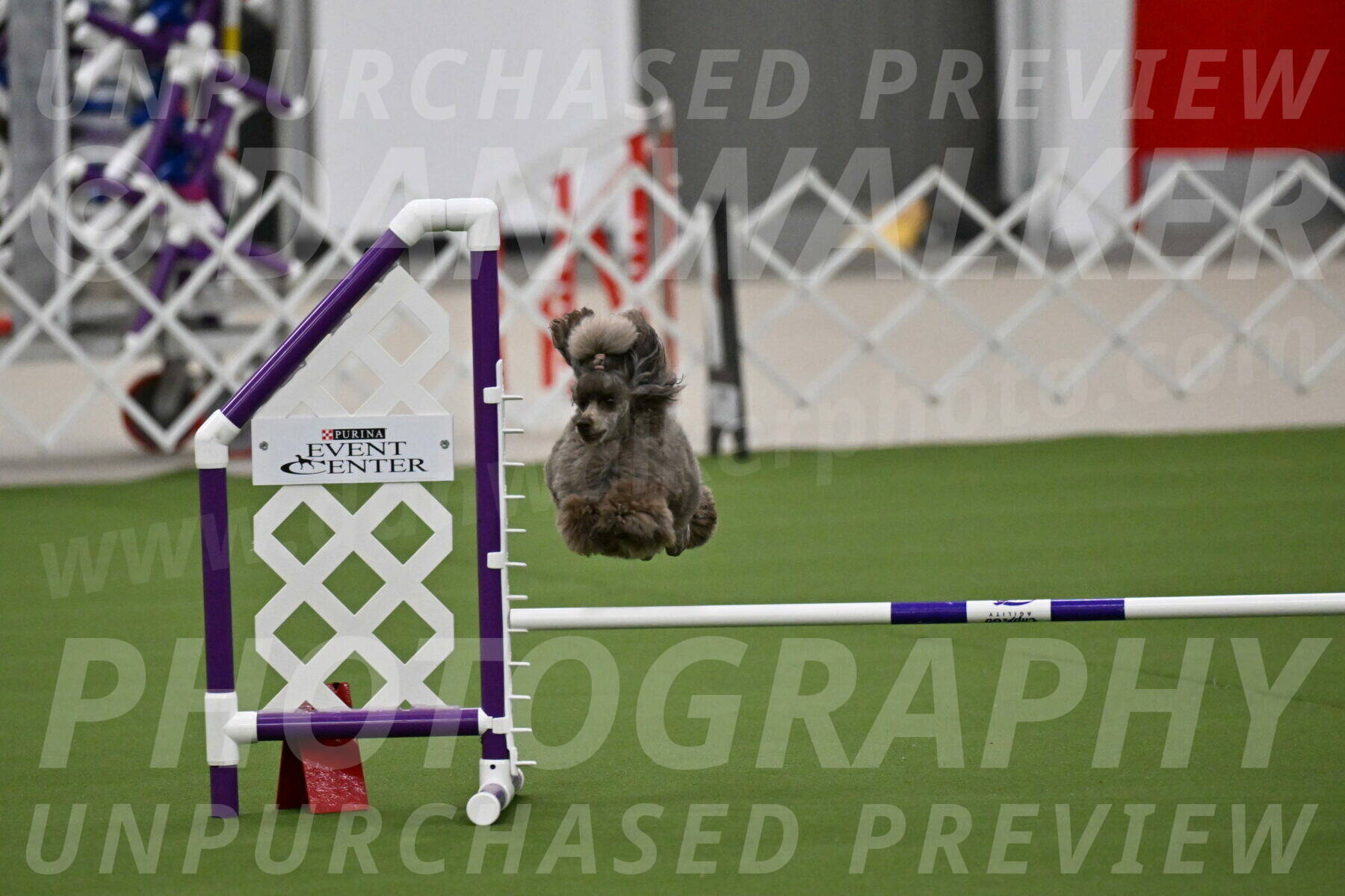 MAS-EX-JWW-12-Inch_2013