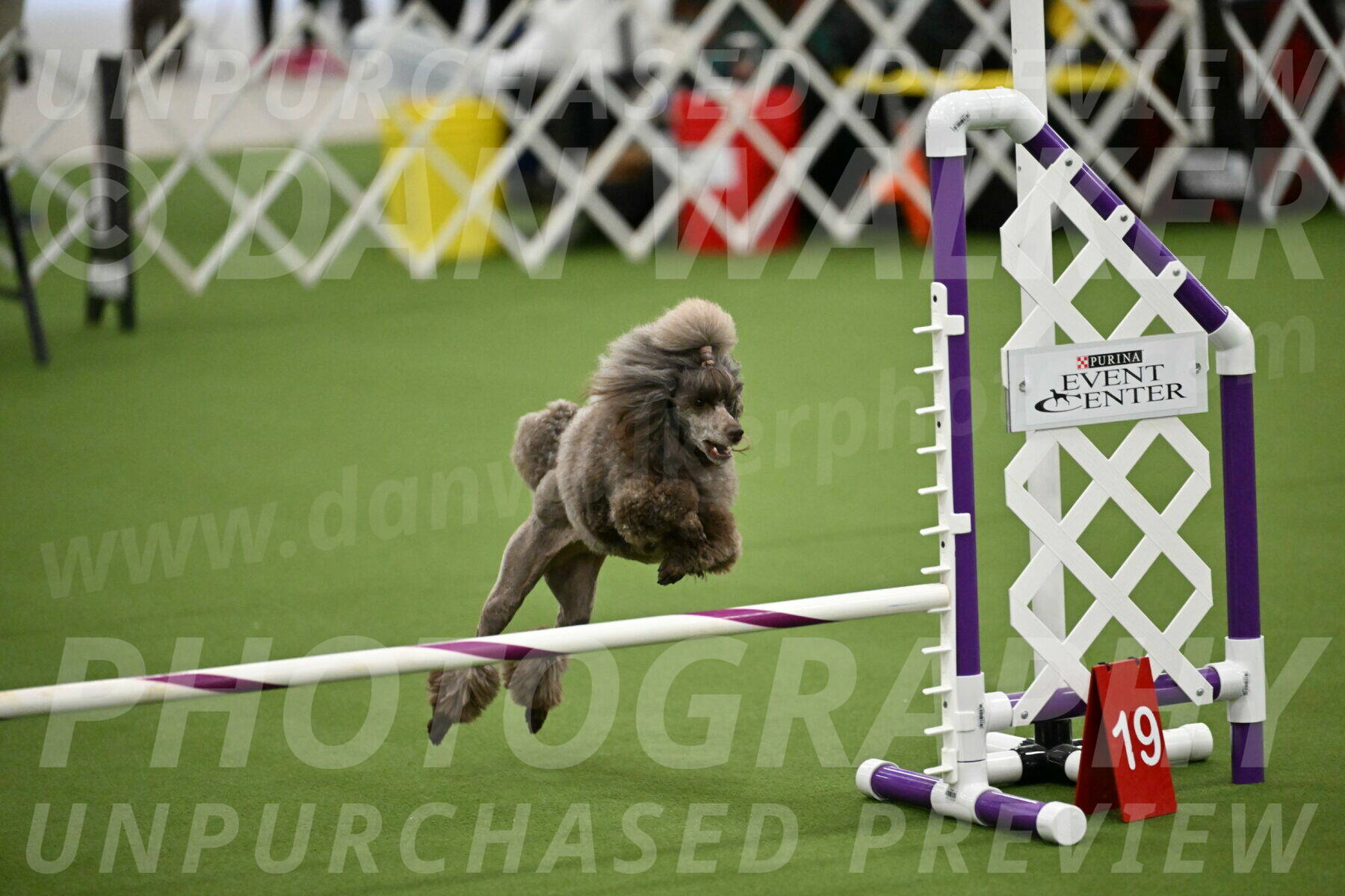 MAS-EX-JWW-12-Inch_2023