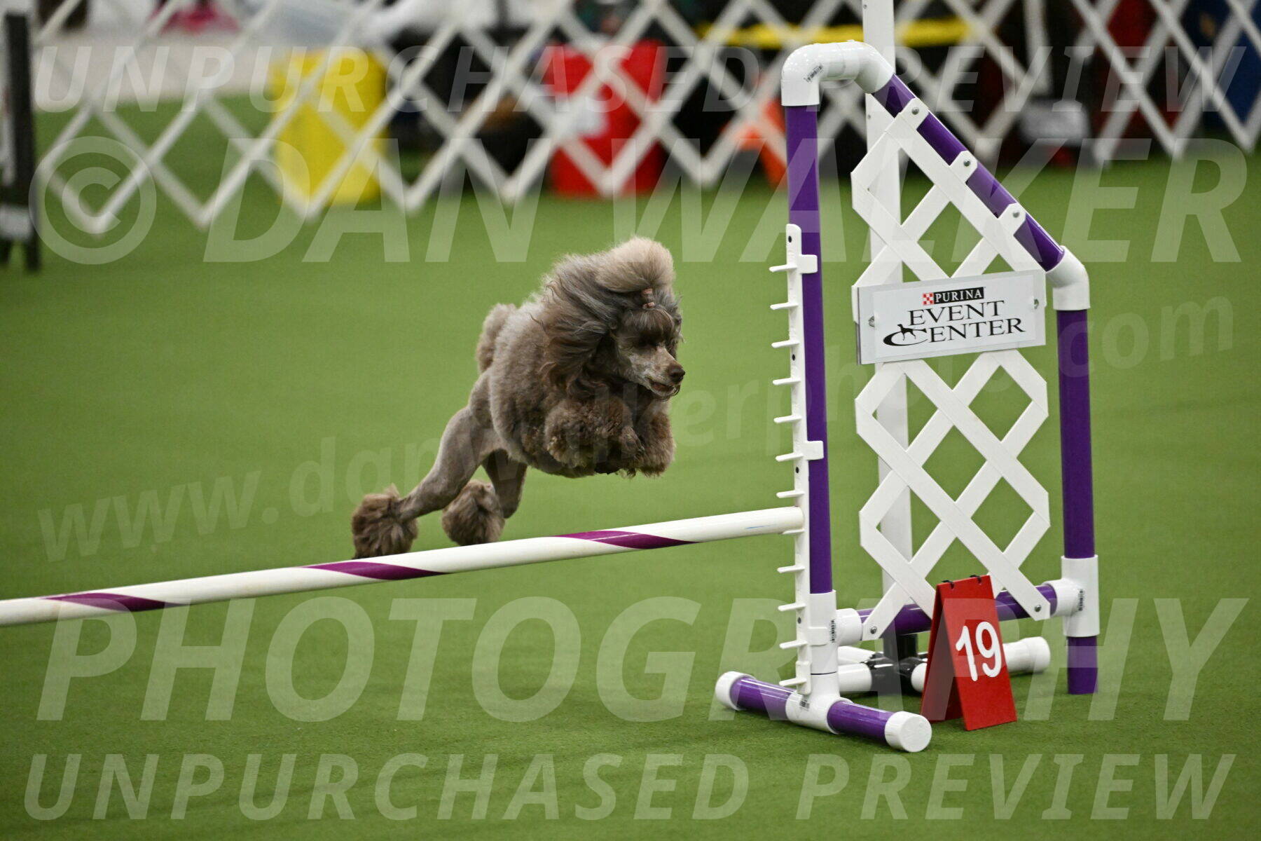 MAS-EX-JWW-12-Inch_2024