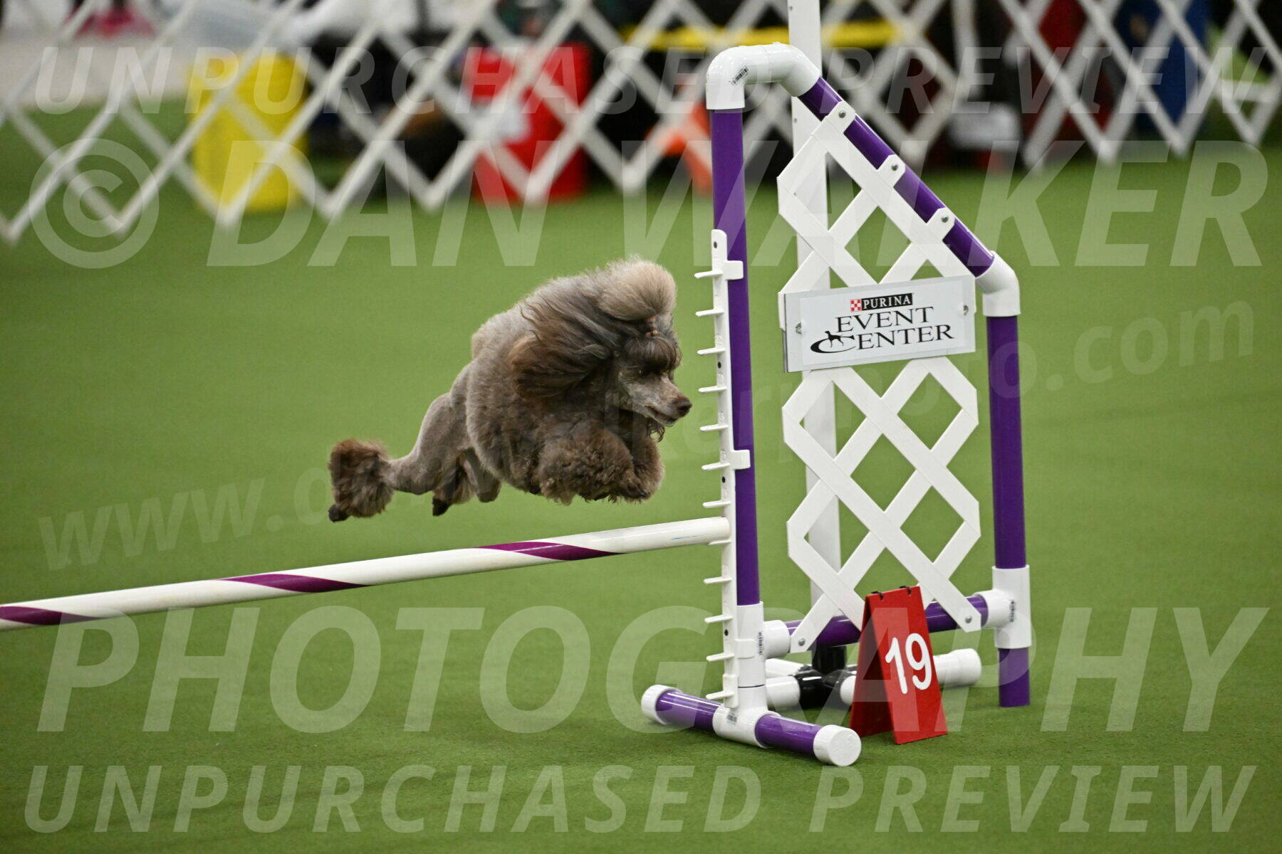 MAS-EX-JWW-12-Inch_2025