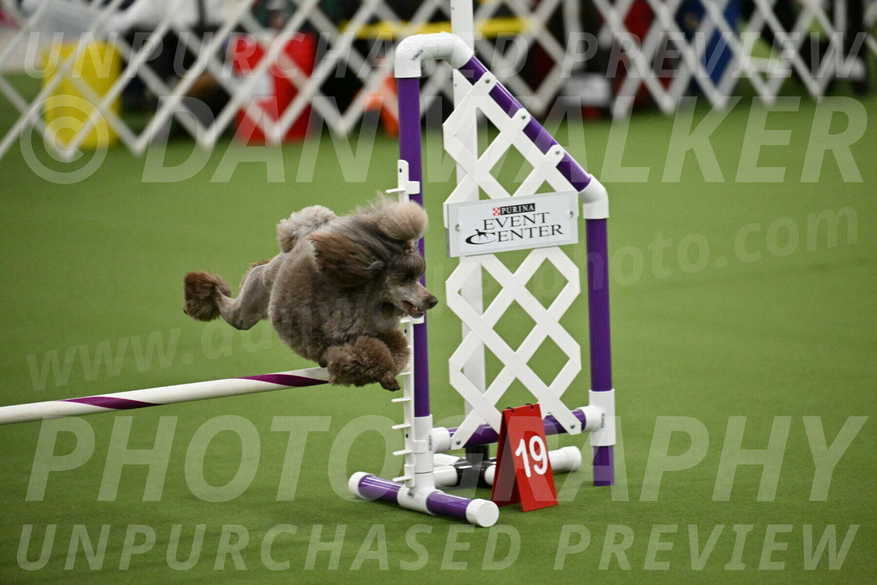 MAS-EX-JWW-12-Inch_2026