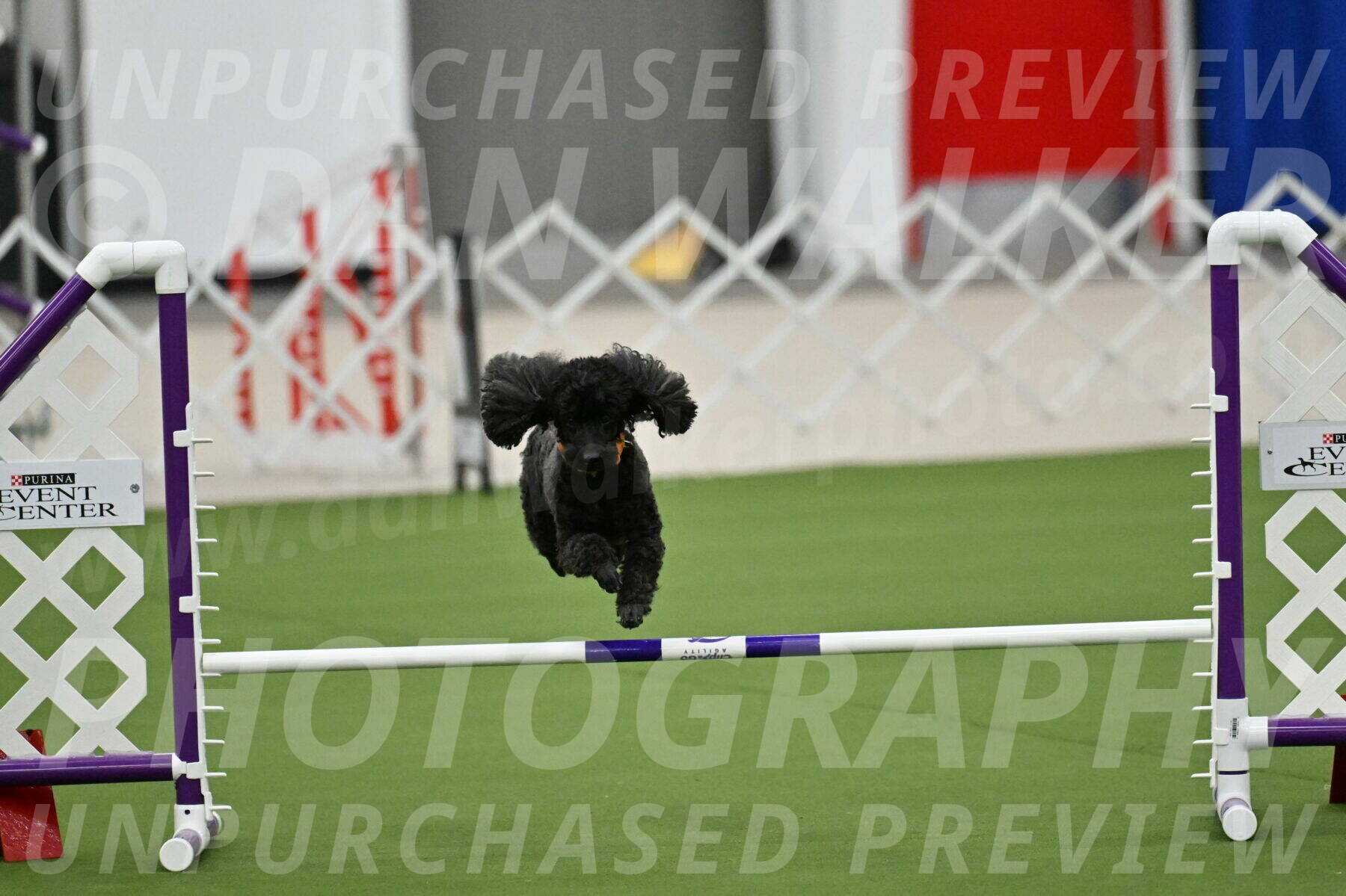 MAS-EX-JWW-12-Inch_2027