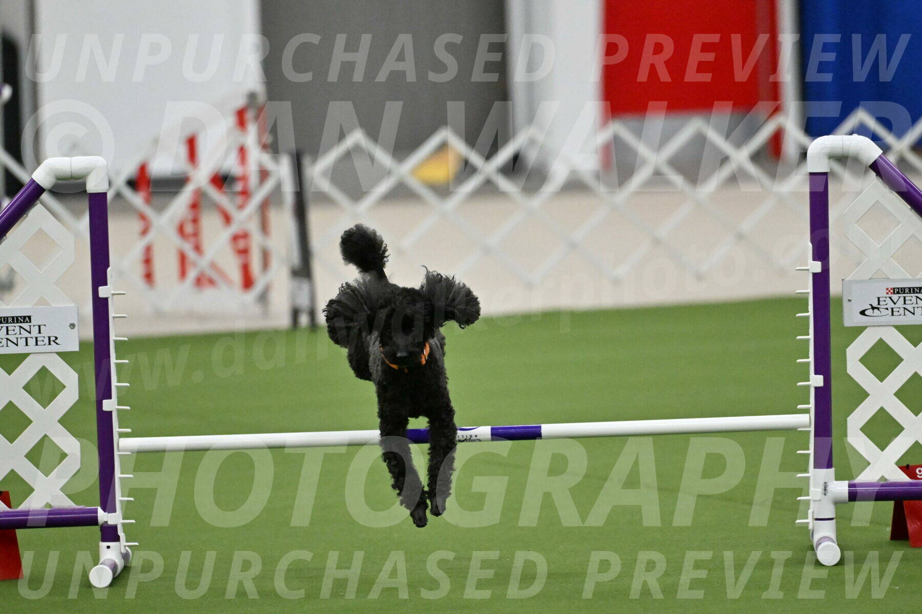 MAS-EX-JWW-12-Inch_2029