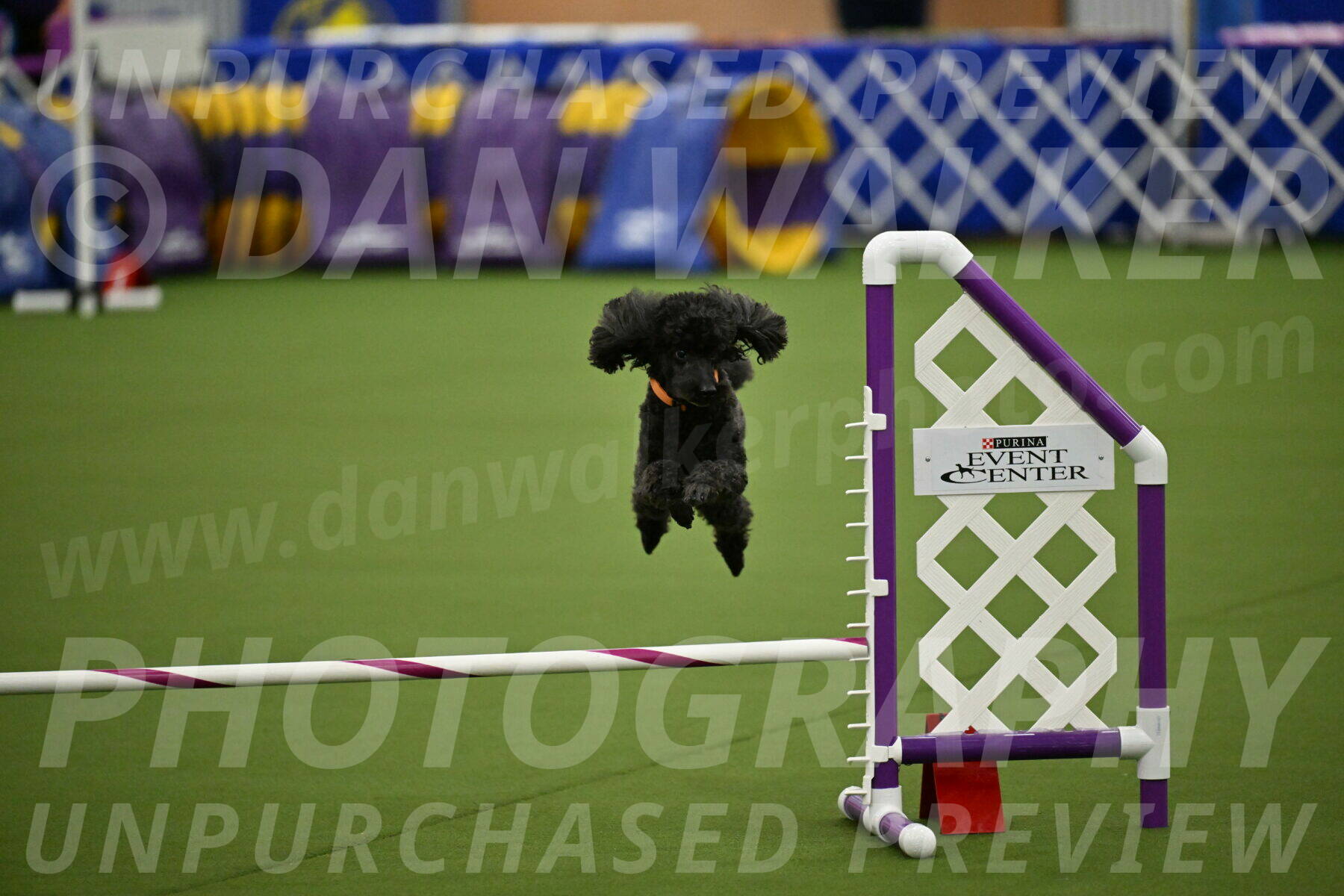 MAS-EX-JWW-12-Inch_2053