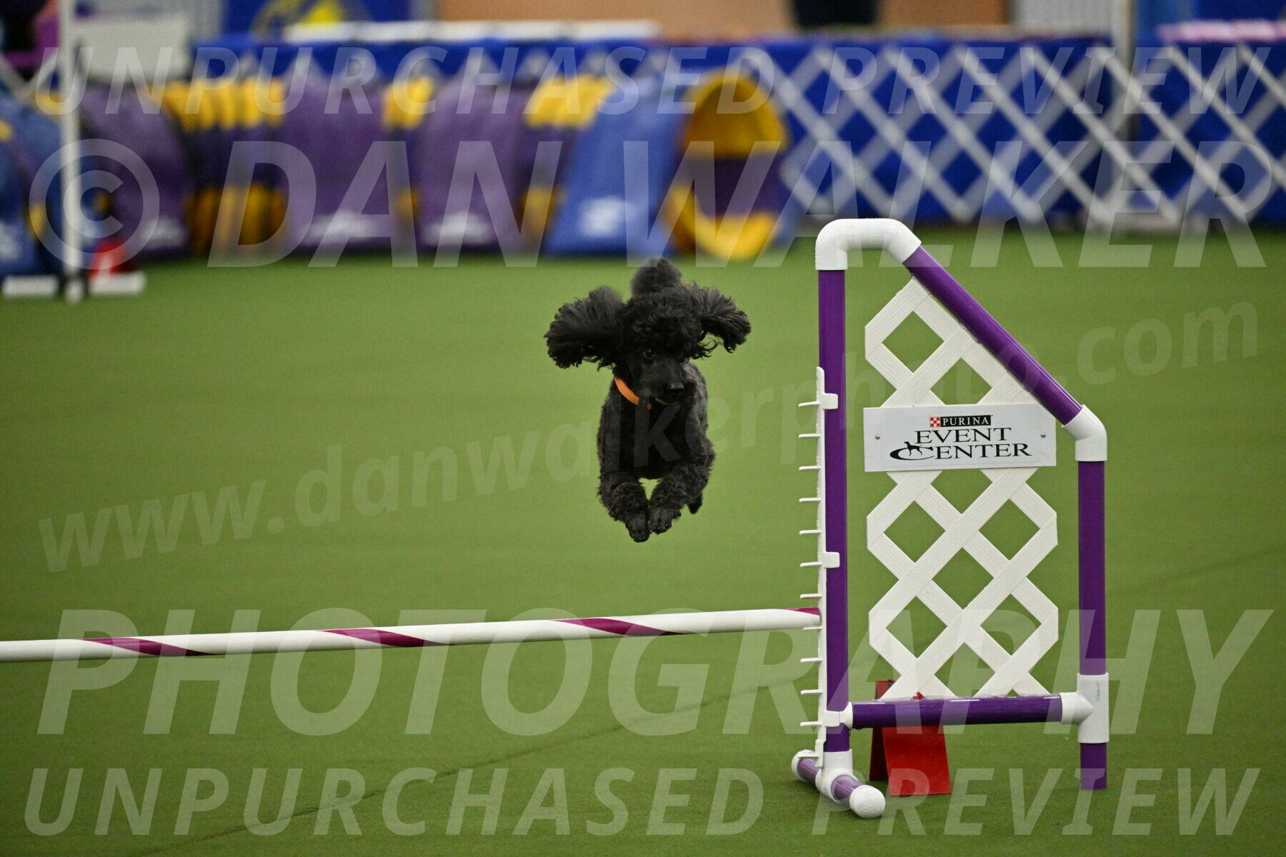 MAS-EX-JWW-12-Inch_2054