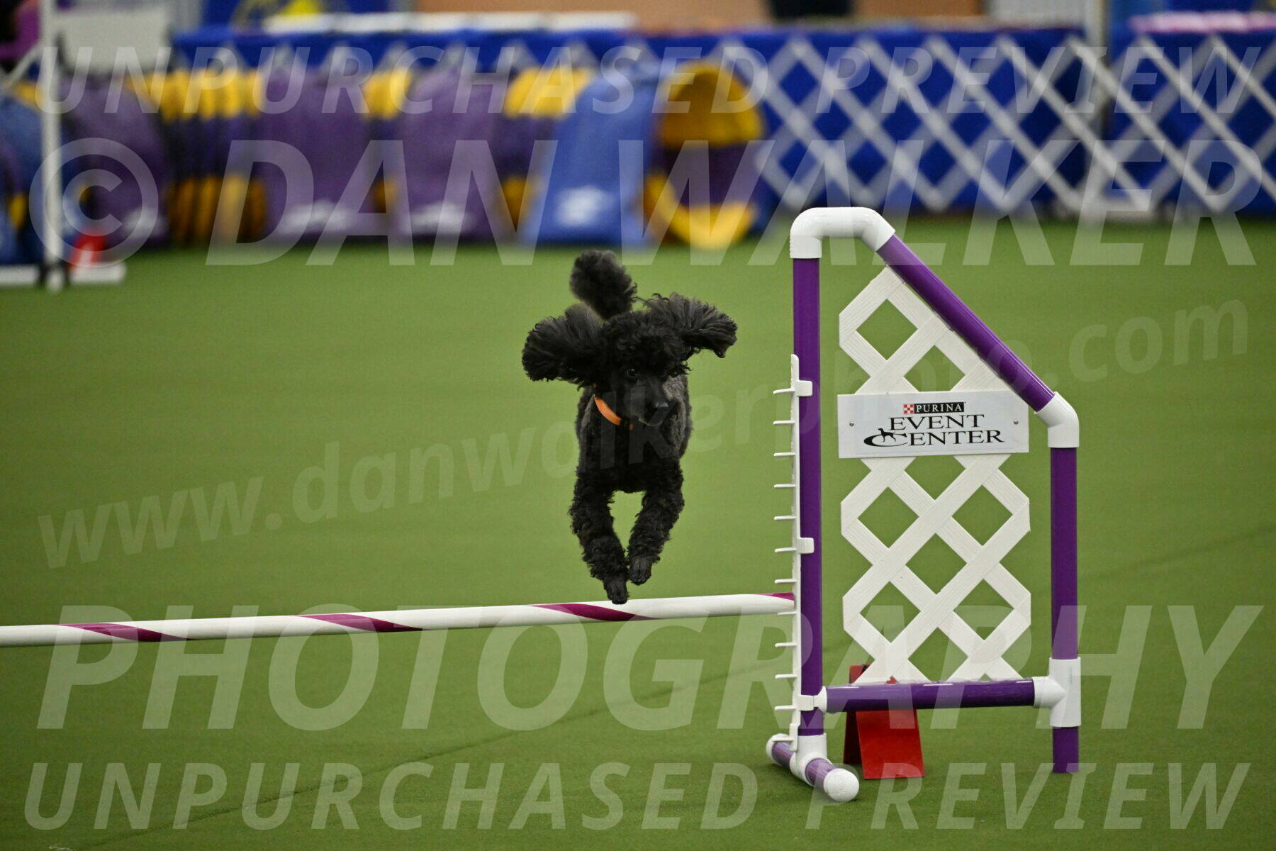 MAS-EX-JWW-12-Inch_2055