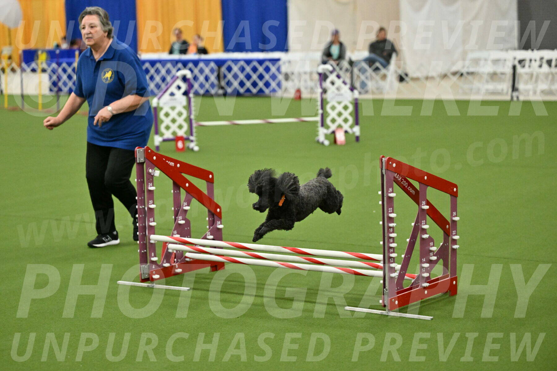 MAS-EX-JWW-12-Inch_2074