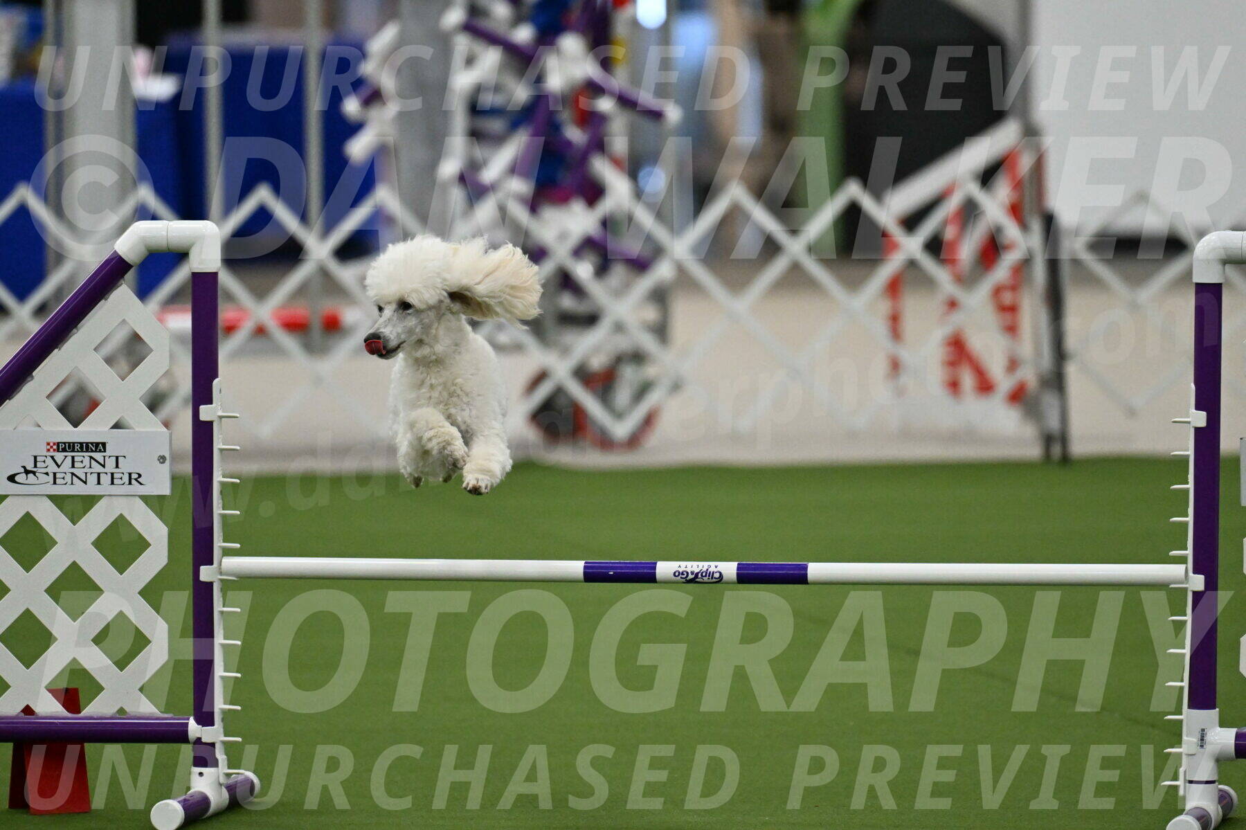 MAS-EX-JWW-16-Inch_2084