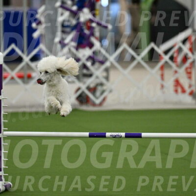 MAS-EX-JWW-16-Inch_2084