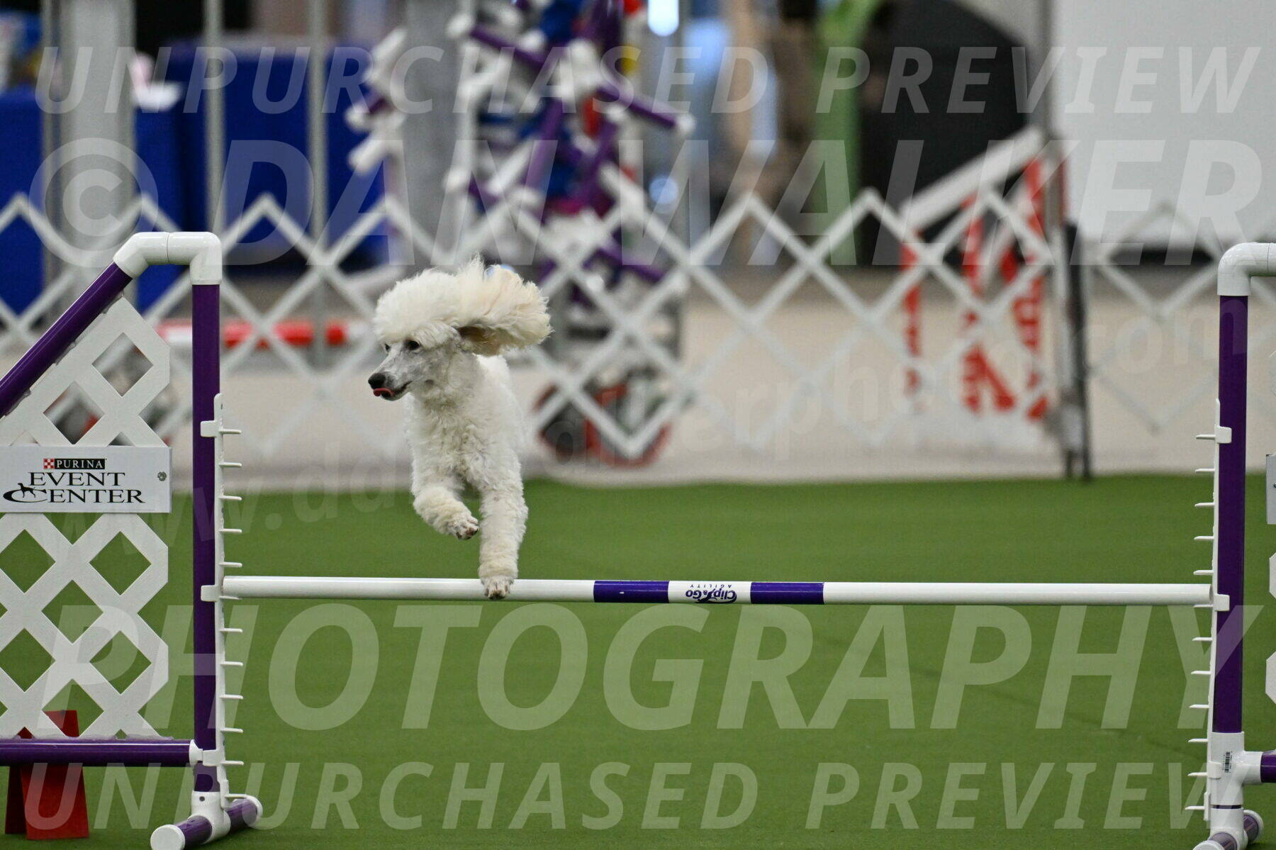 MAS-EX-JWW-16-Inch_2085