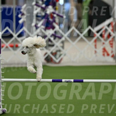 MAS-EX-JWW-16-Inch_2085