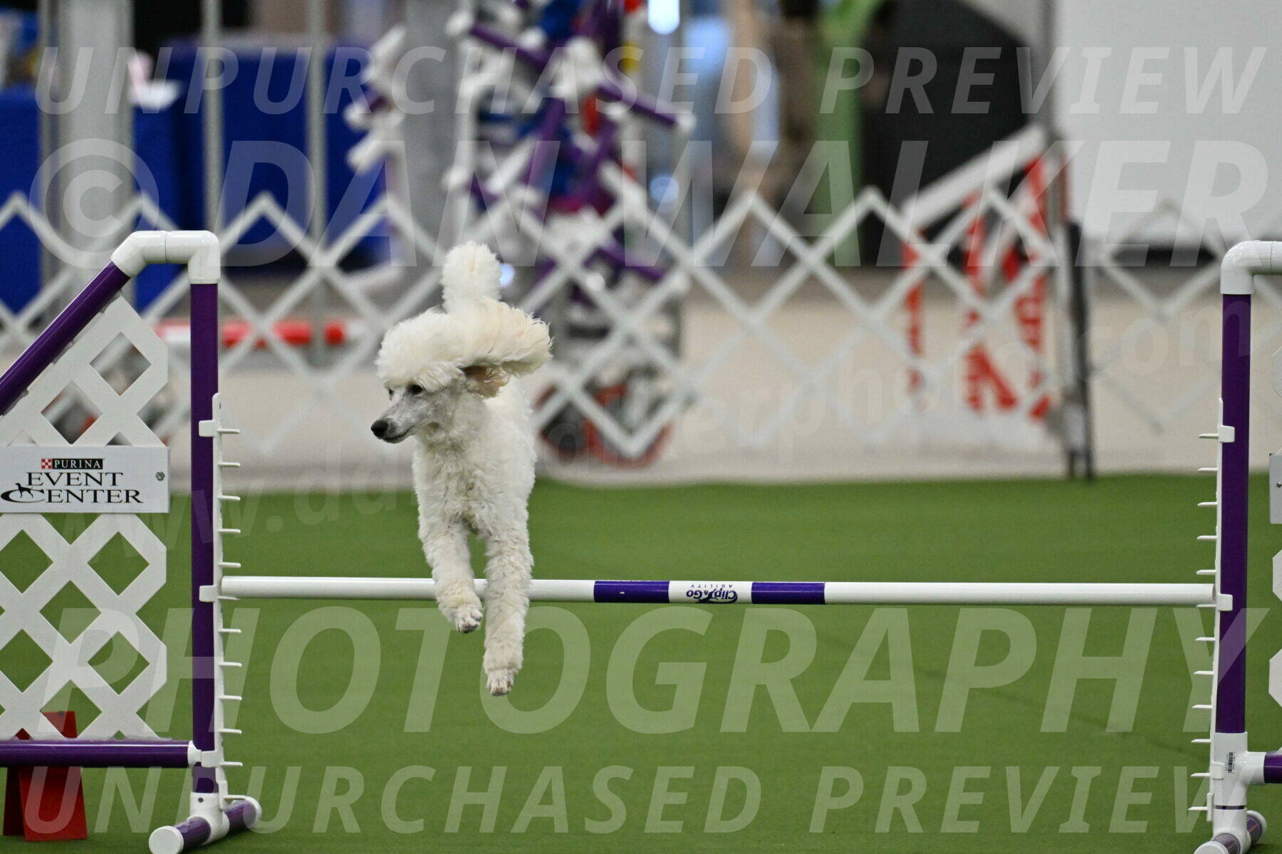 MAS-EX-JWW-16-Inch_2086