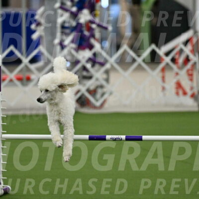 MAS-EX-JWW-16-Inch_2086