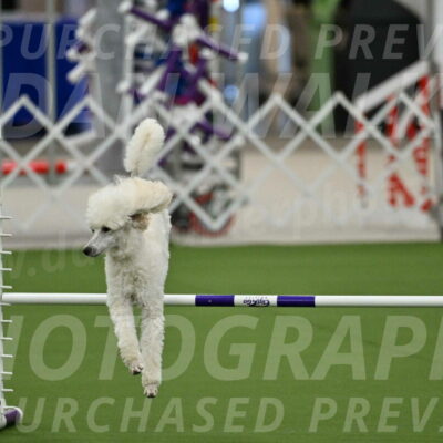 MAS-EX-JWW-16-Inch_2087