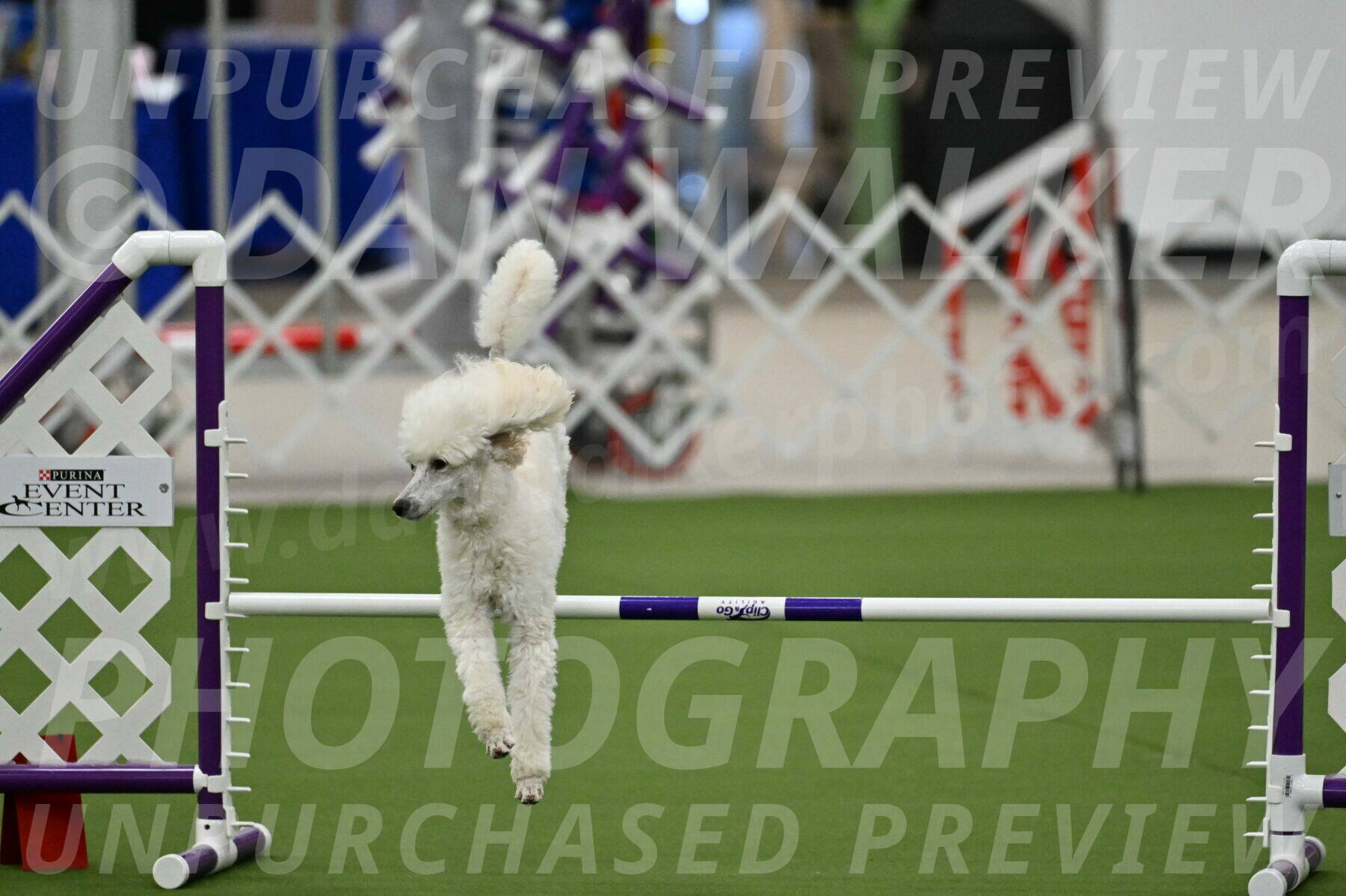 MAS-EX-JWW-16-Inch_2087