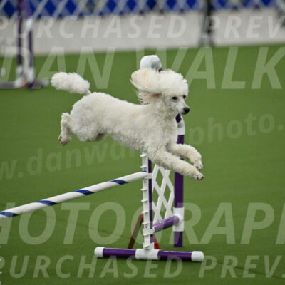 MAS-EX-JWW-16-Inch_2090