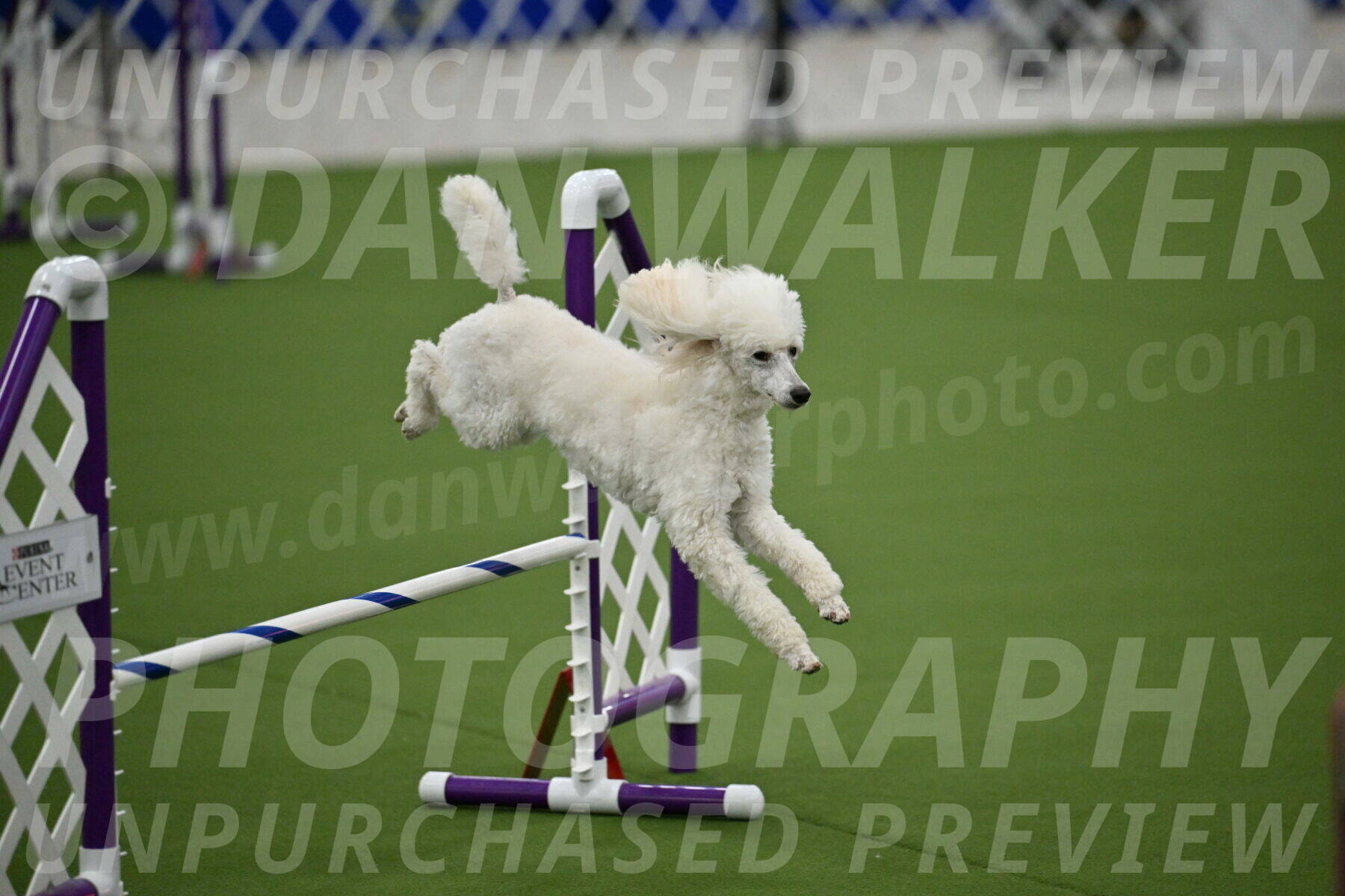 MAS-EX-JWW-16-Inch_2091