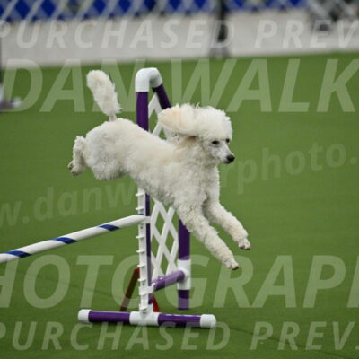 MAS-EX-JWW-16-Inch_2091