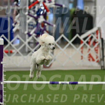 MAS-EX-JWW-16-Inch_2095