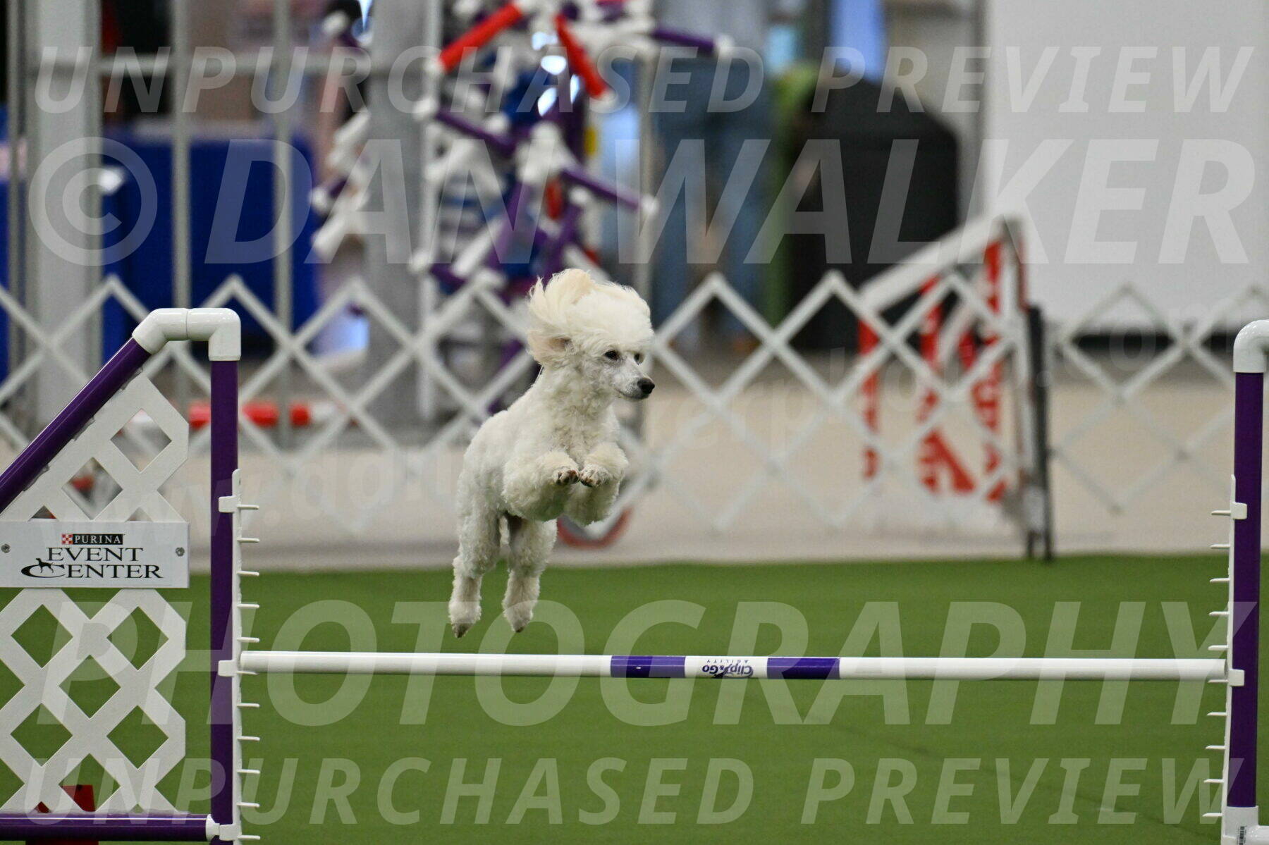 MAS-EX-JWW-16-Inch_2095