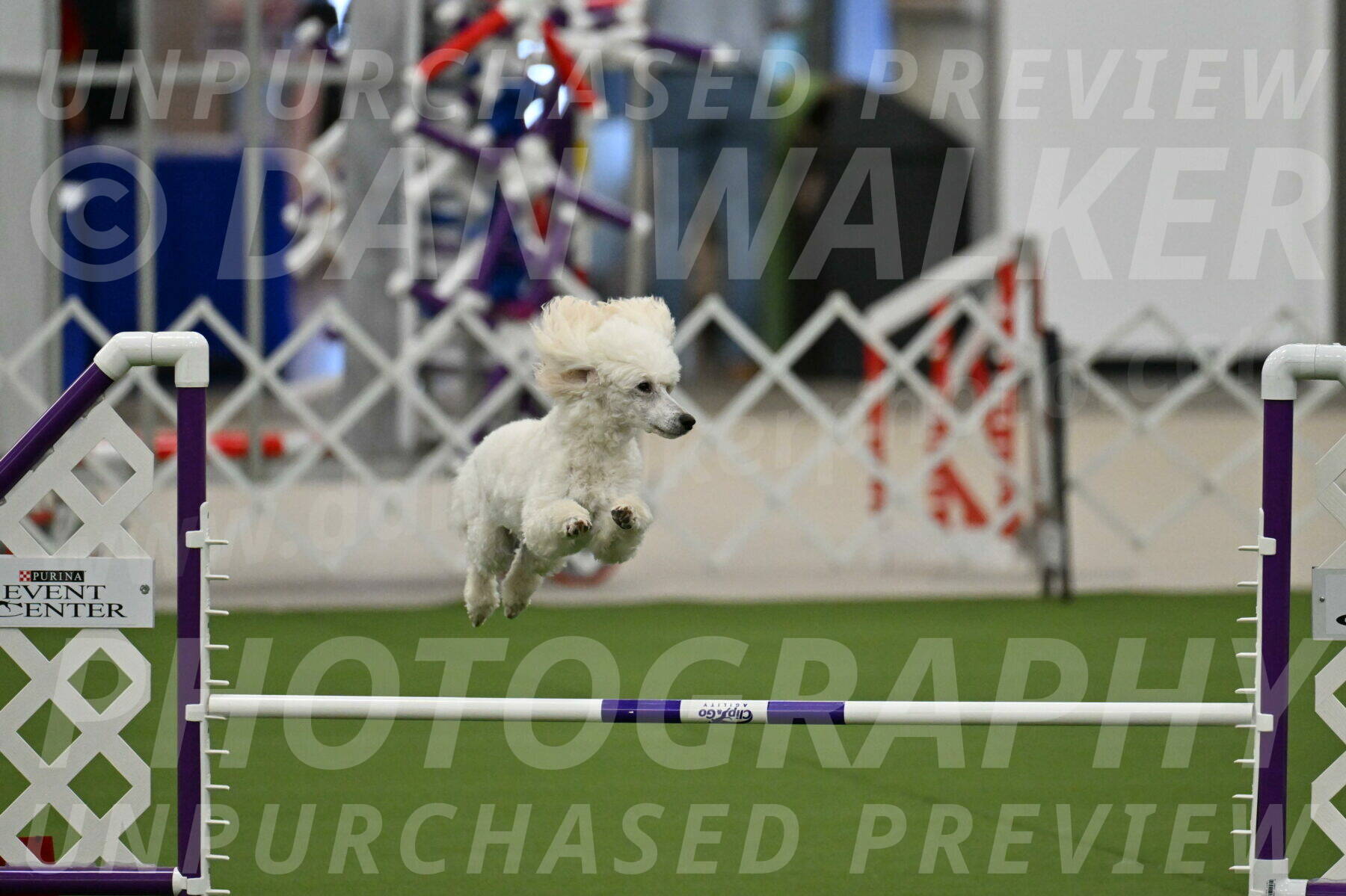 MAS-EX-JWW-16-Inch_2096