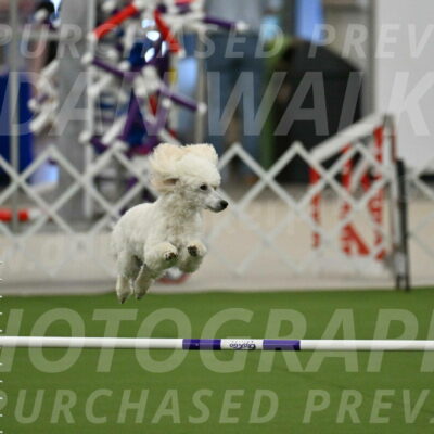 MAS-EX-JWW-16-Inch_2096