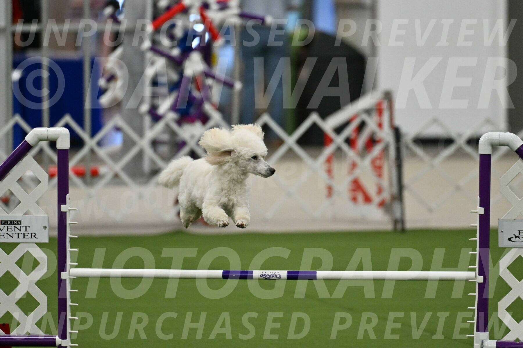 MAS-EX-JWW-16-Inch_2097