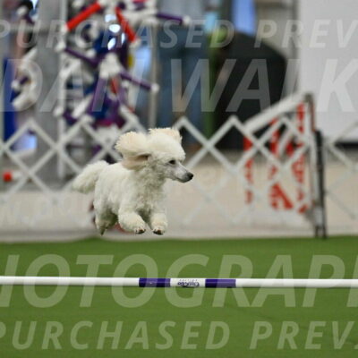 MAS-EX-JWW-16-Inch_2097