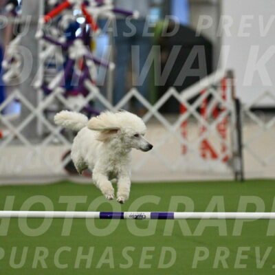 MAS-EX-JWW-16-Inch_2098