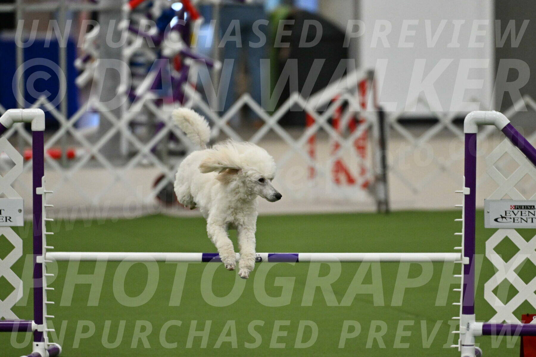 MAS-EX-JWW-16-Inch_2099