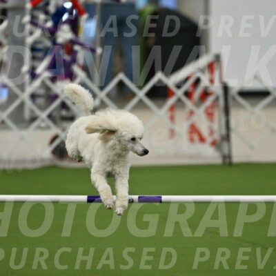 MAS-EX-JWW-16-Inch_2099