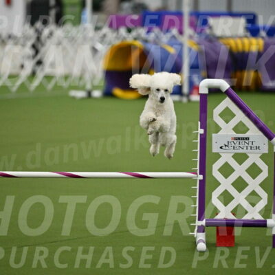 MAS-EX-JWW-16-Inch_2102