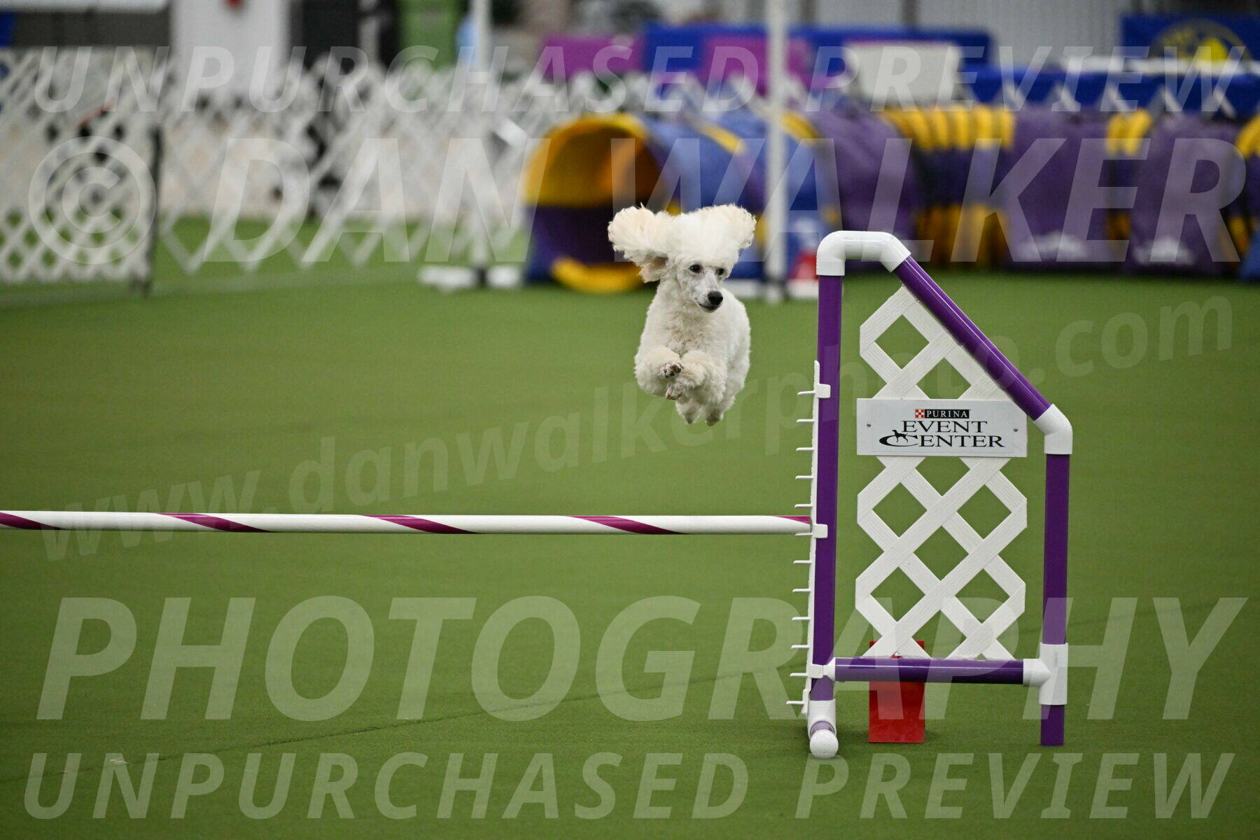 MAS-EX-JWW-16-Inch_2103