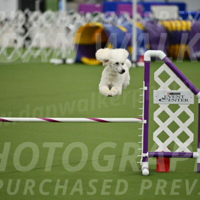 MAS-EX-JWW-16-Inch_2104